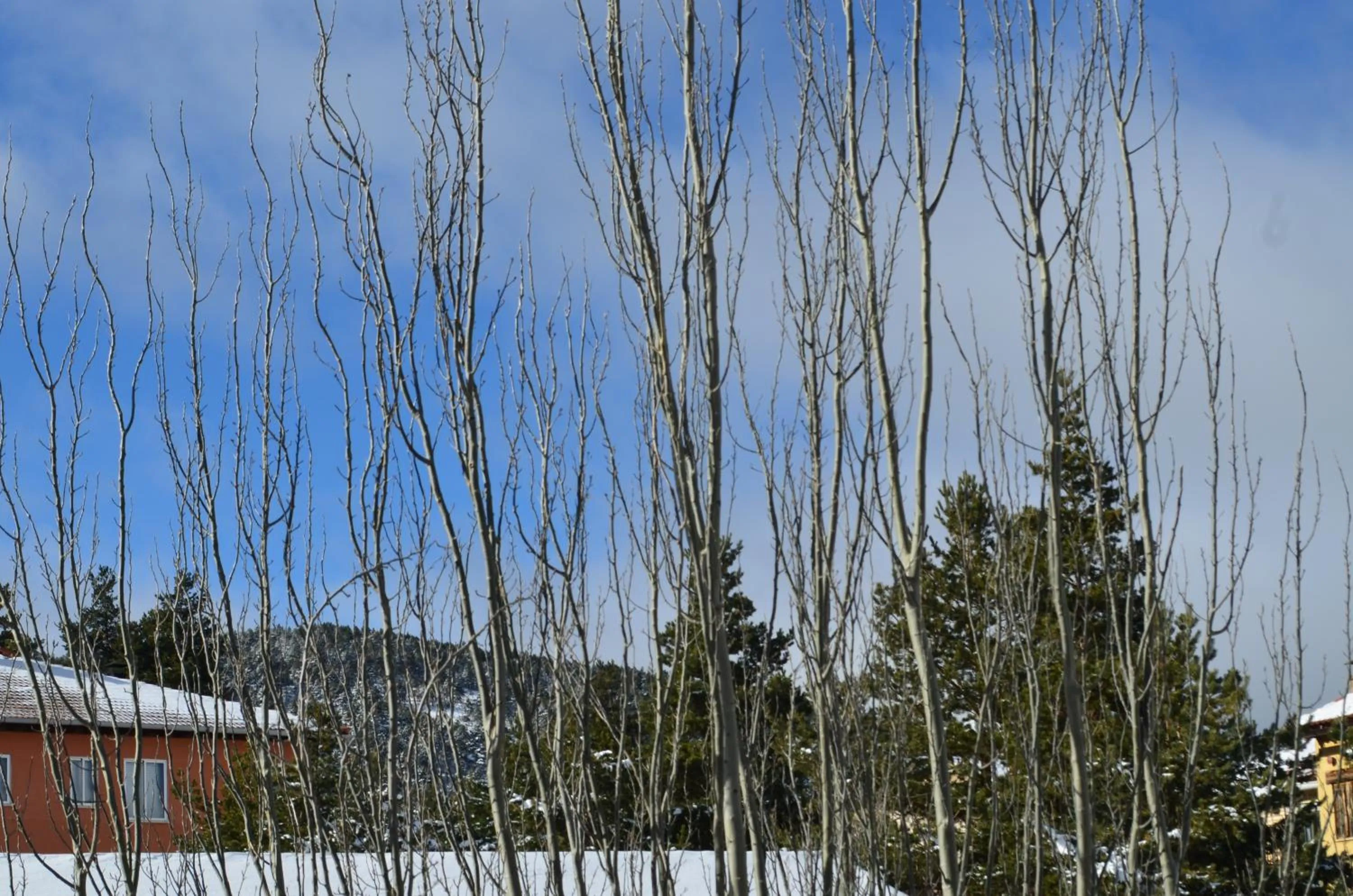 Street view in Hotel Suiza