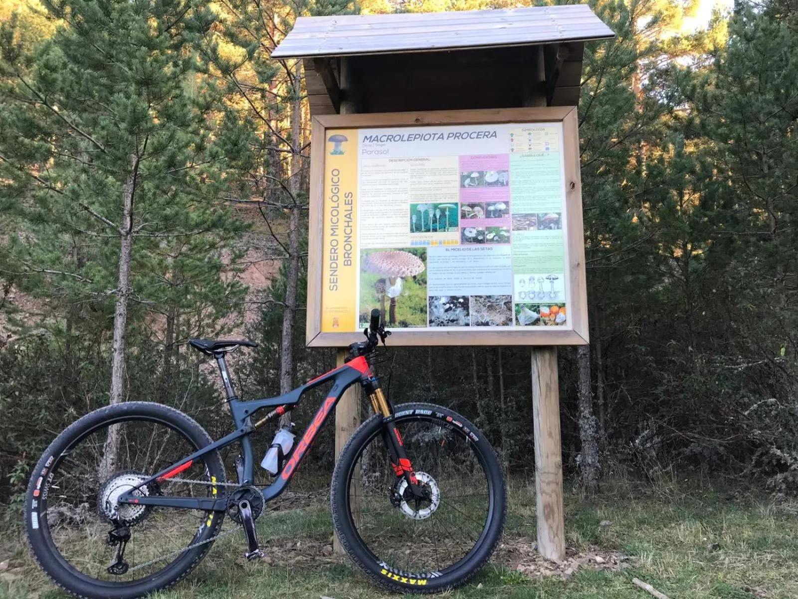 Cycling in Hotel Suiza