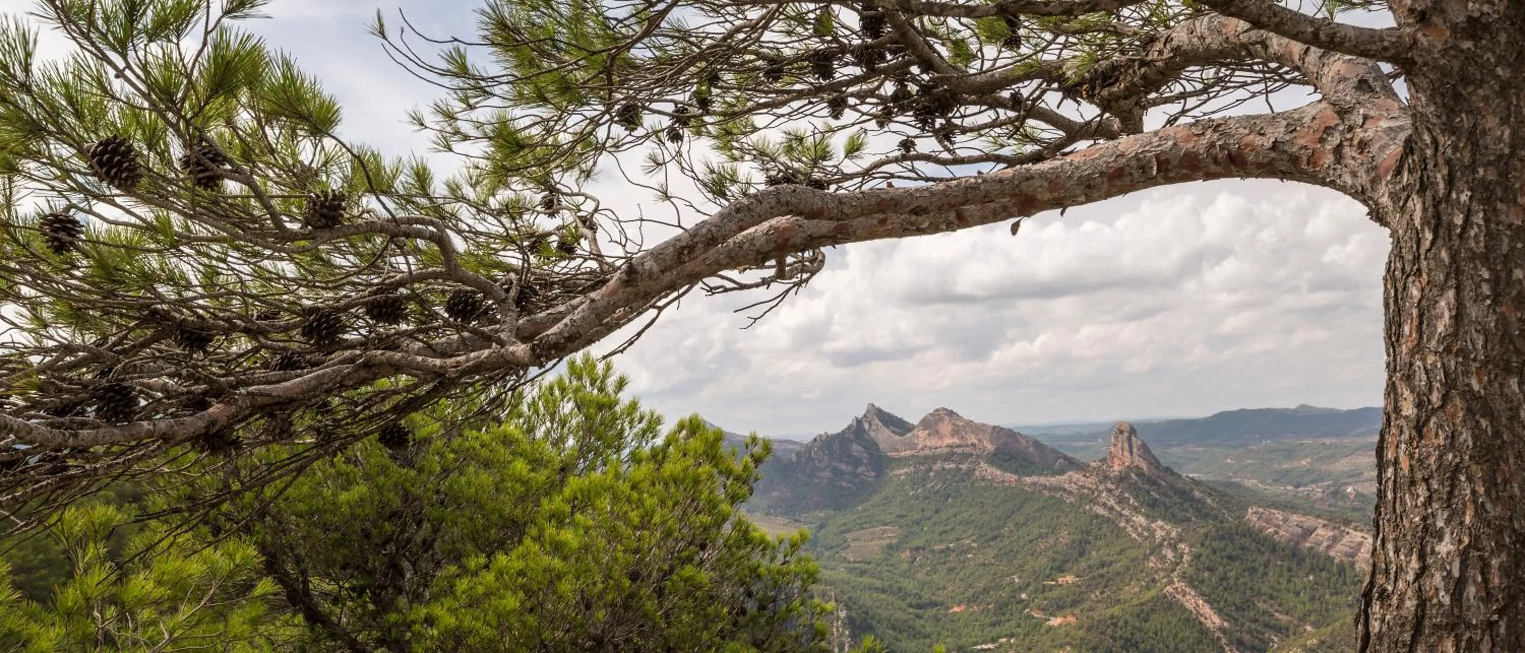 Sports in Hotel & Spa Can Josep