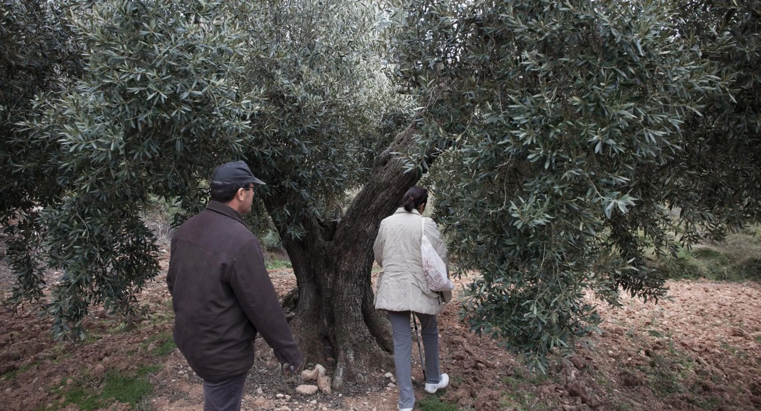 Hiking in Hotel & Spa Can Josep