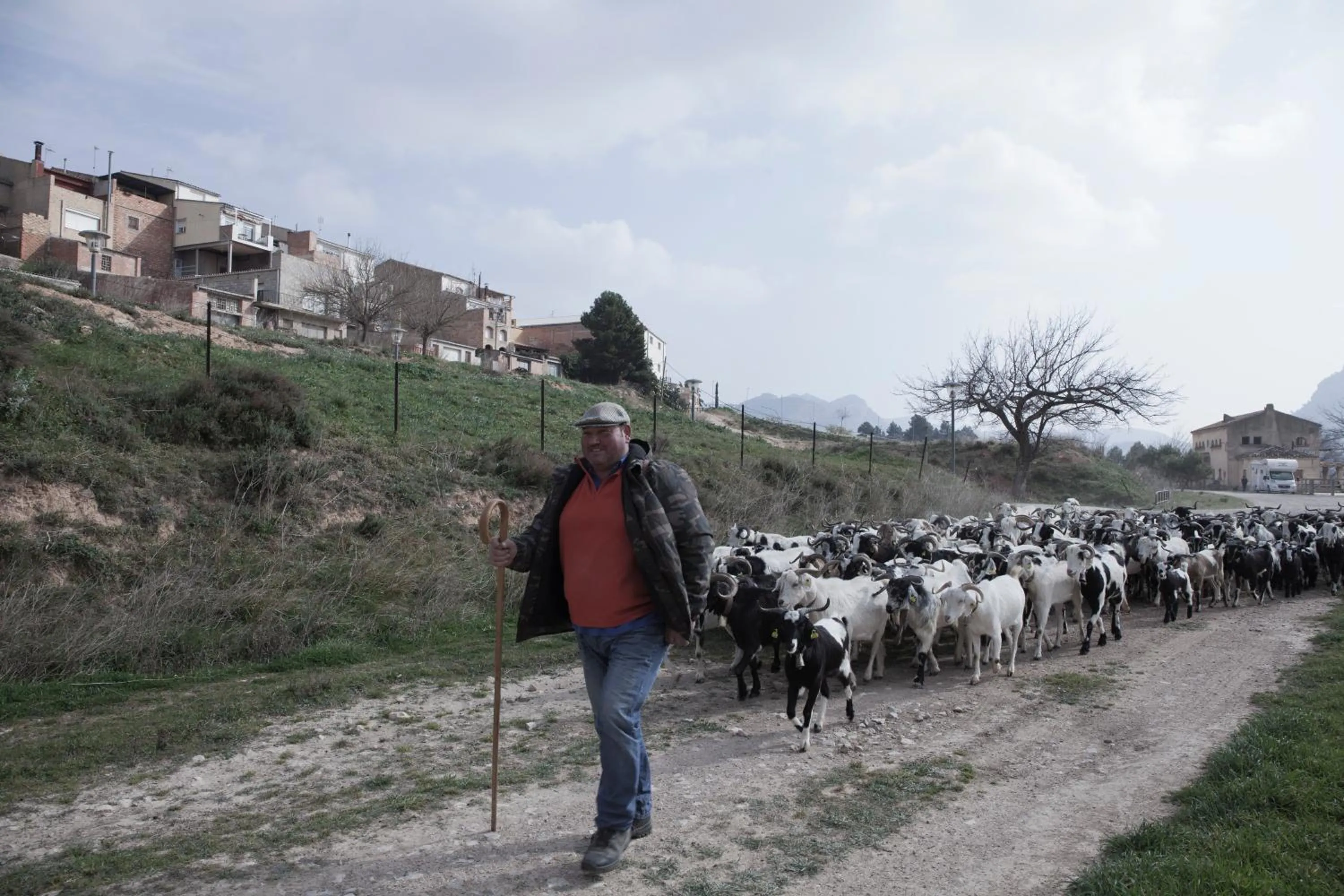 Activities in Hotel & Spa Can Josep