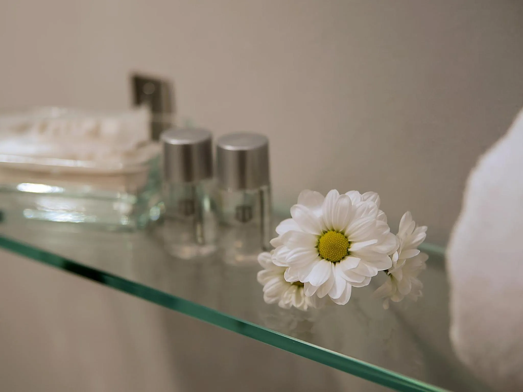 Photo of the whole room in Singular Pilatos