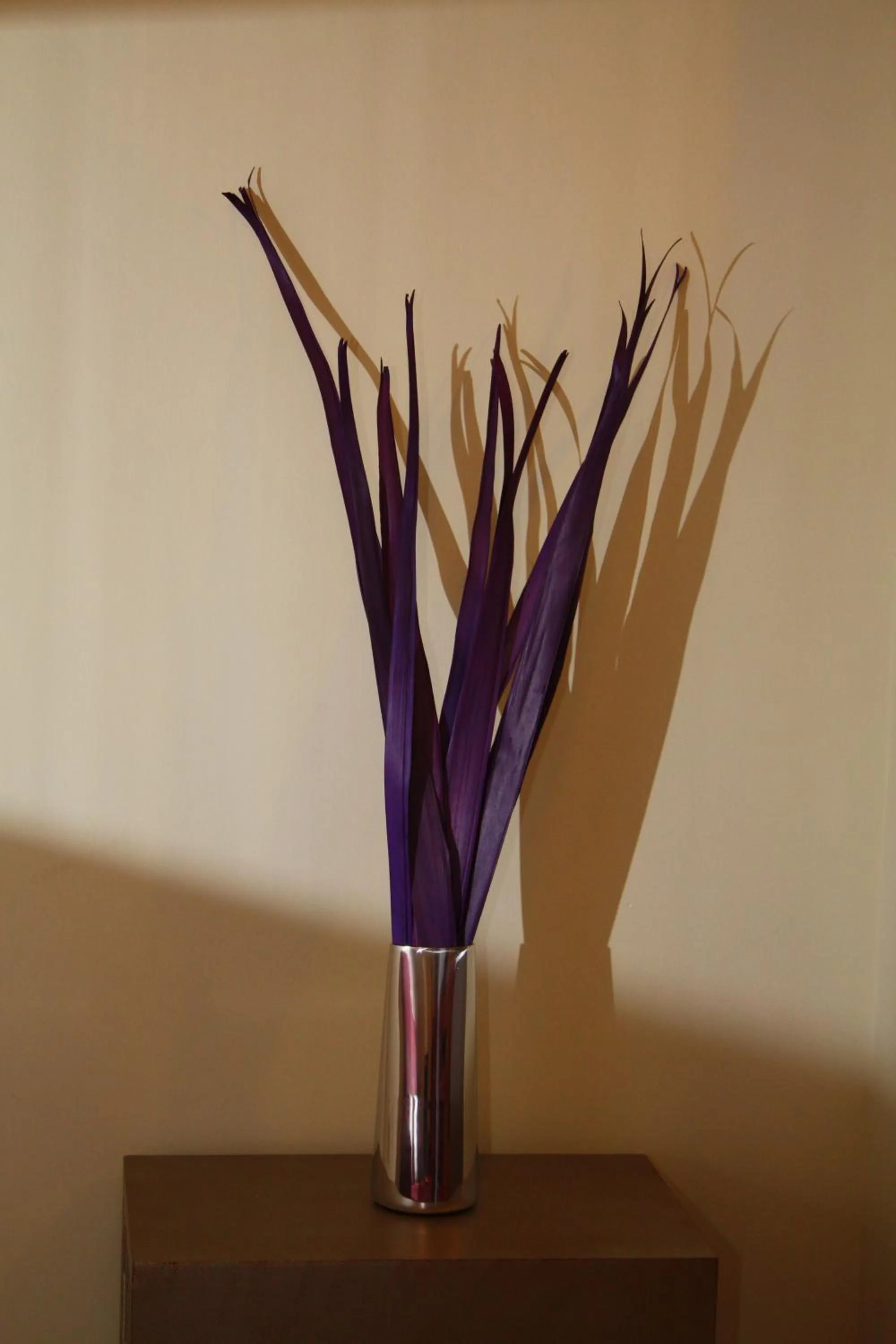 Other in Singular Pilatos