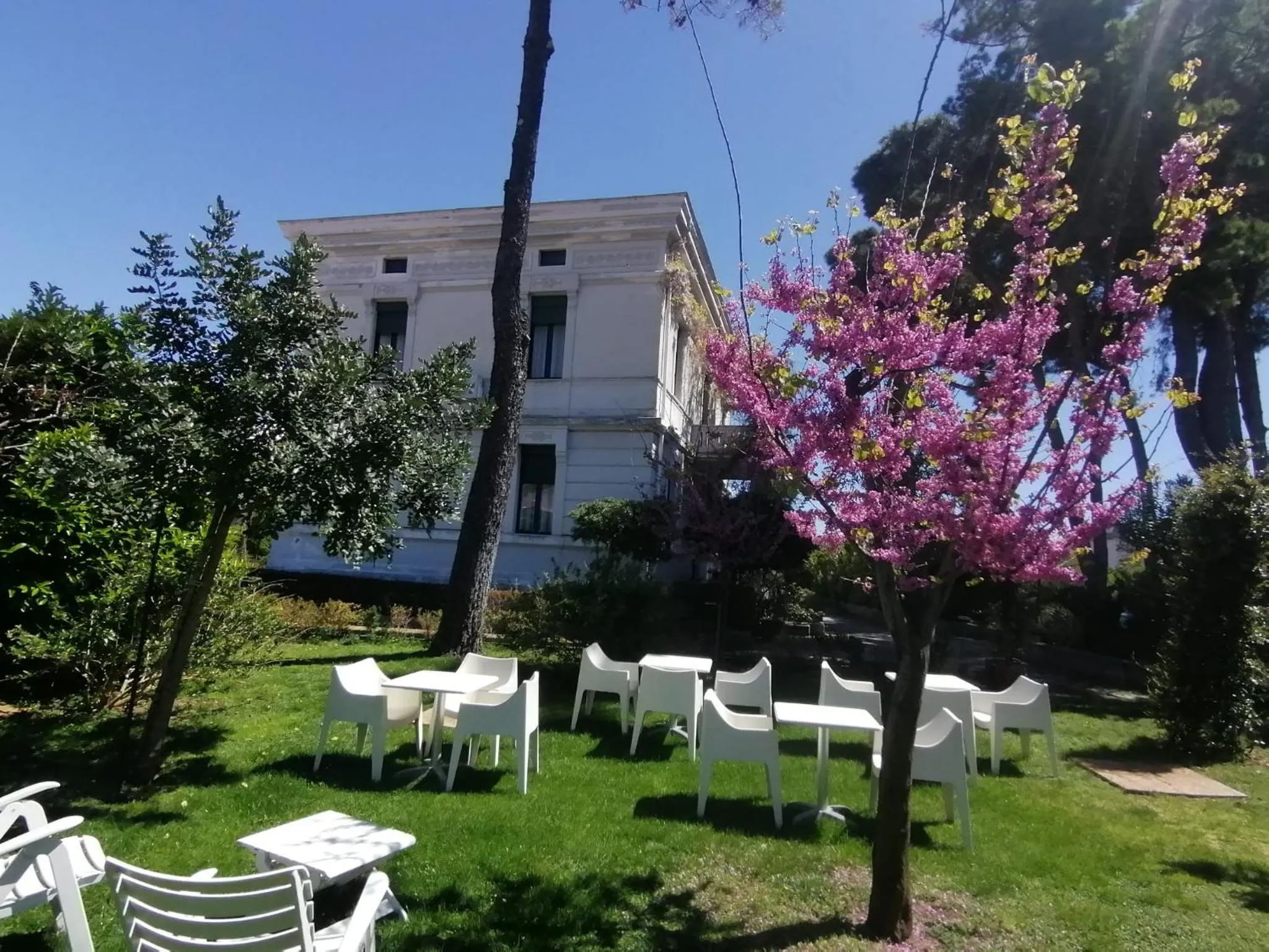 Garden in Villa Giordanelli