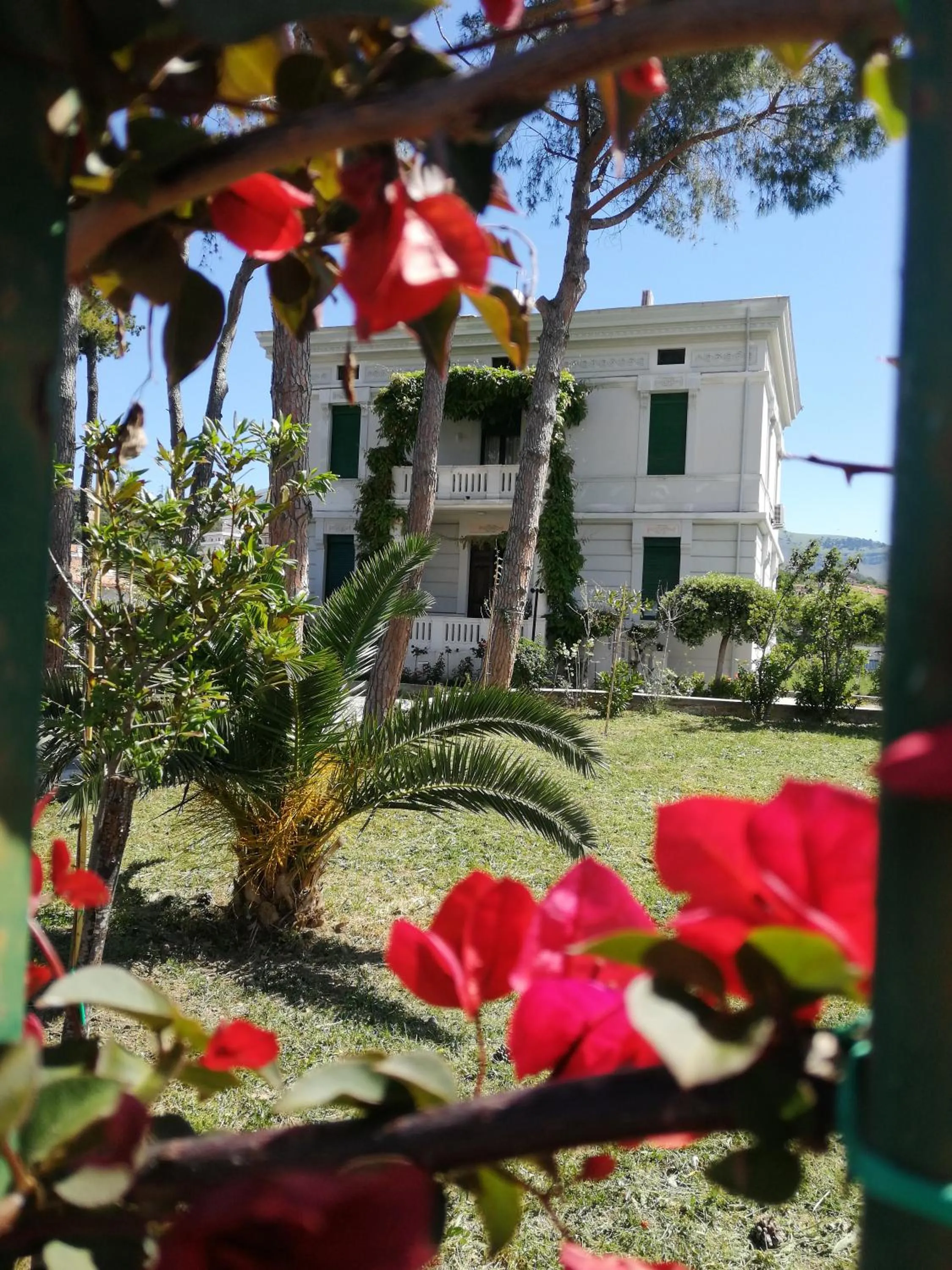 Garden in Villa Giordanelli