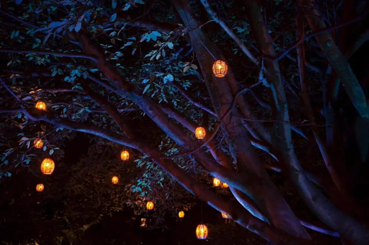 Restaurant/places to eat in La Provence Restaurant & Hotel Boutique