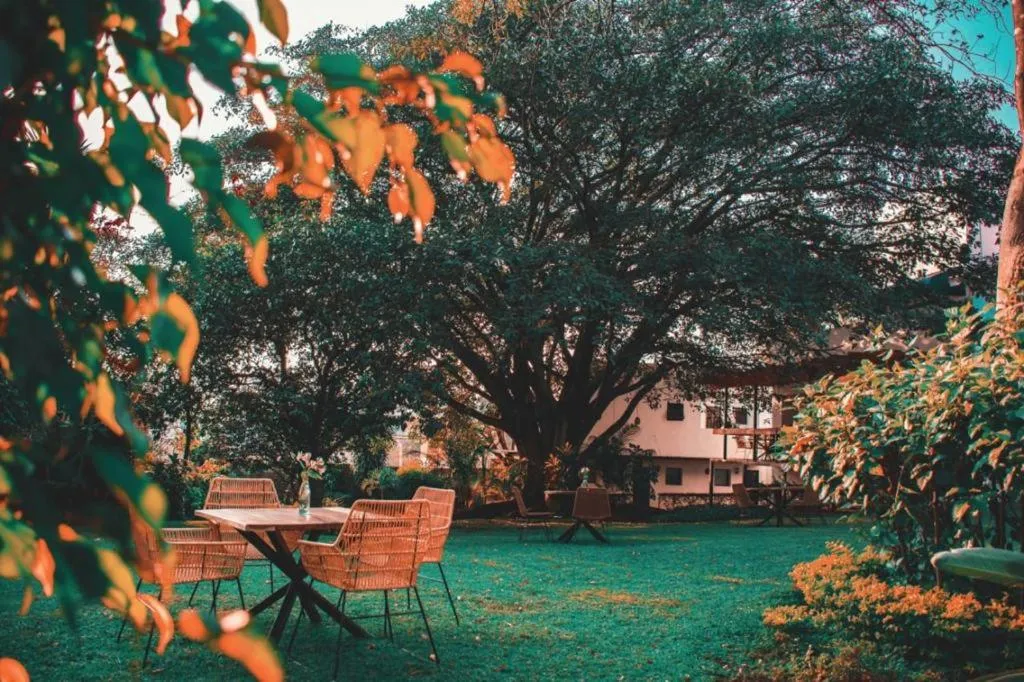 Restaurant/places to eat in La Provence Restaurant & Hotel Boutique