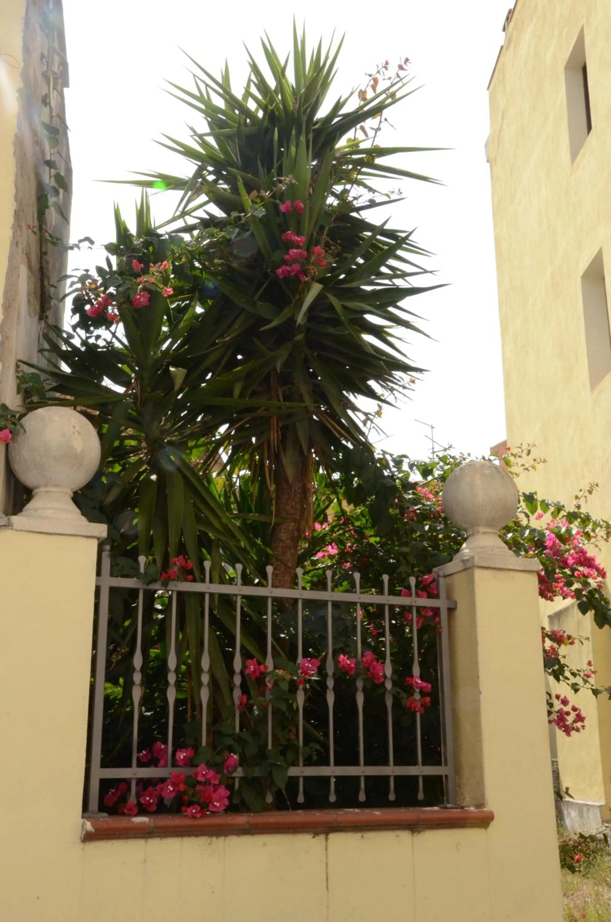 Garden in Casa Cabras