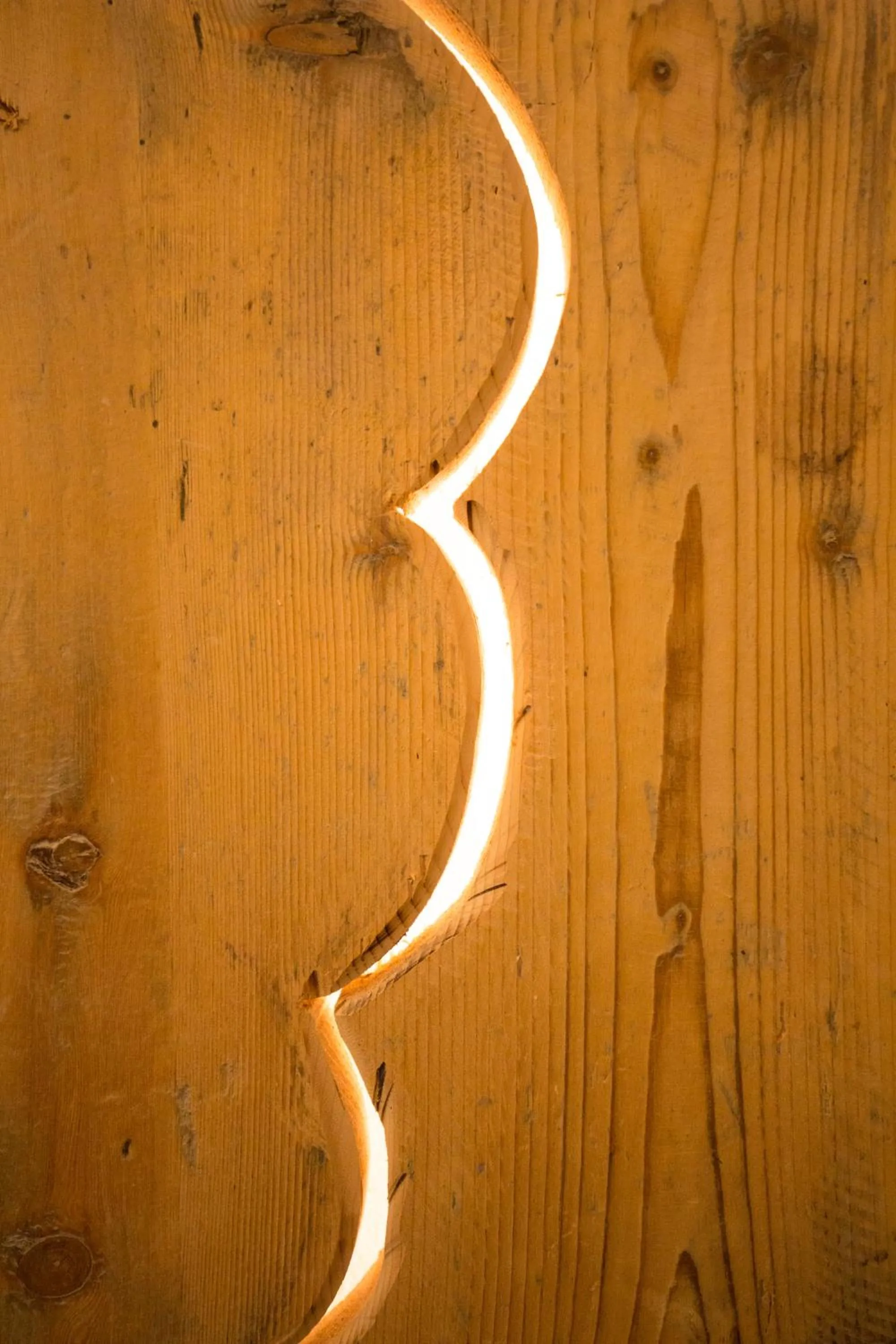 Decorative detail in Chalet Marcora