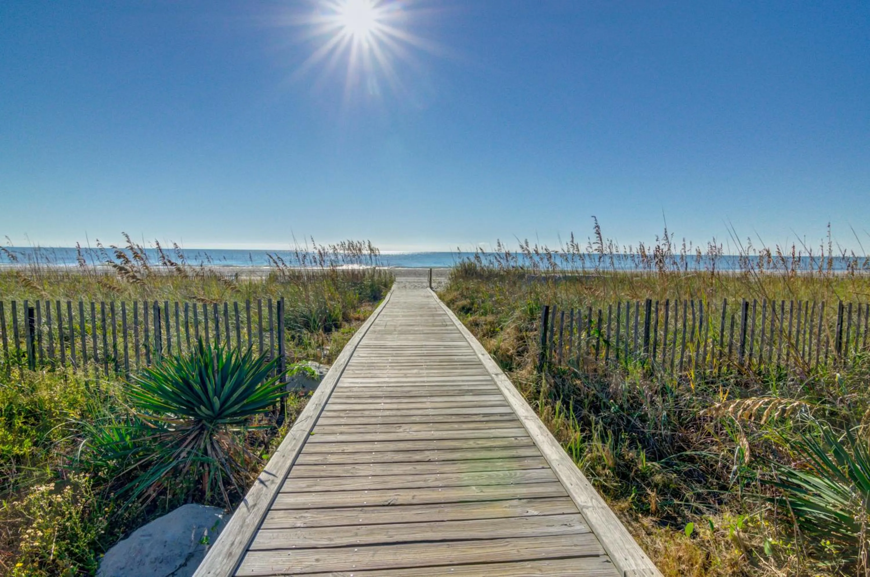 Beach in Forest Dunes Resort