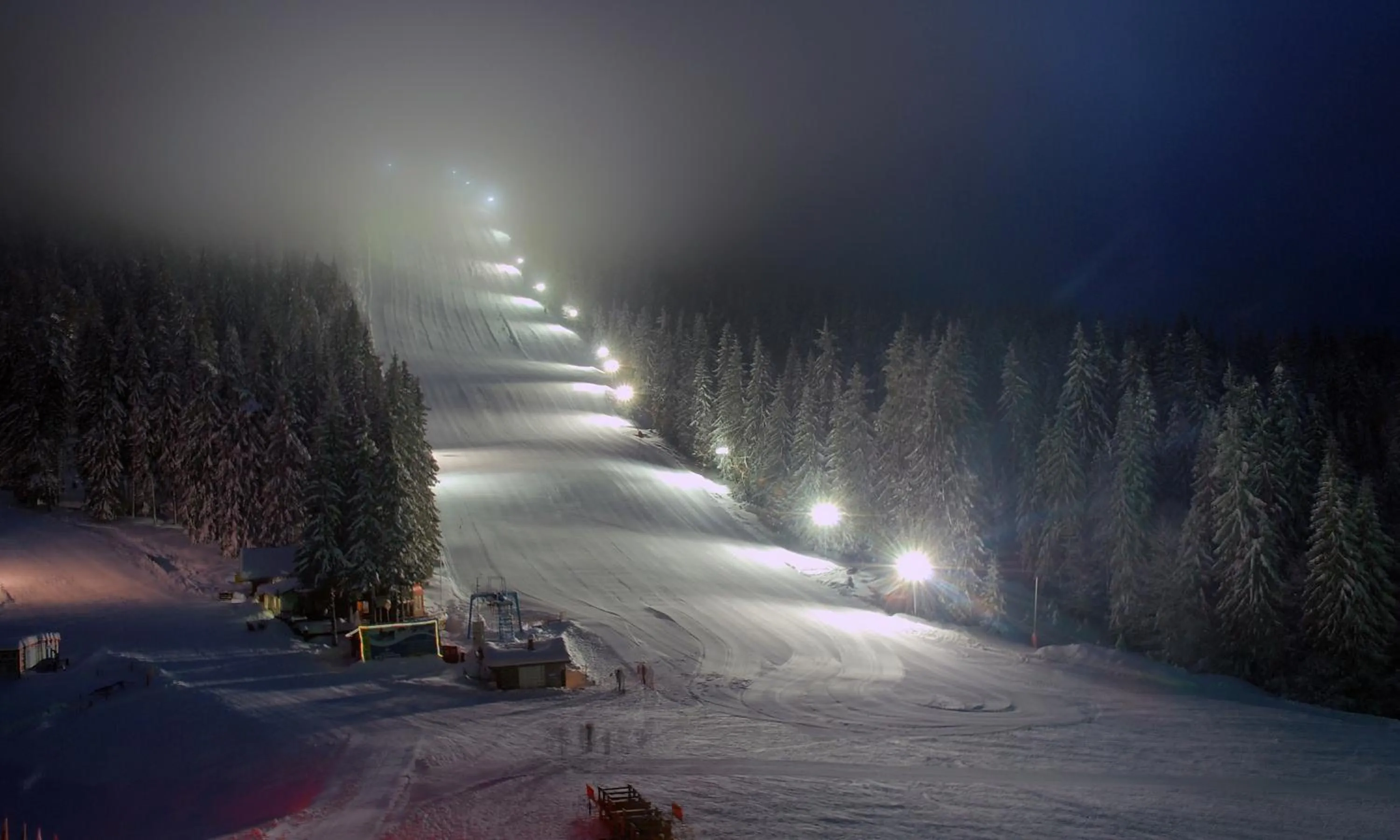 Area and facilities in Hotel Iva & Elena