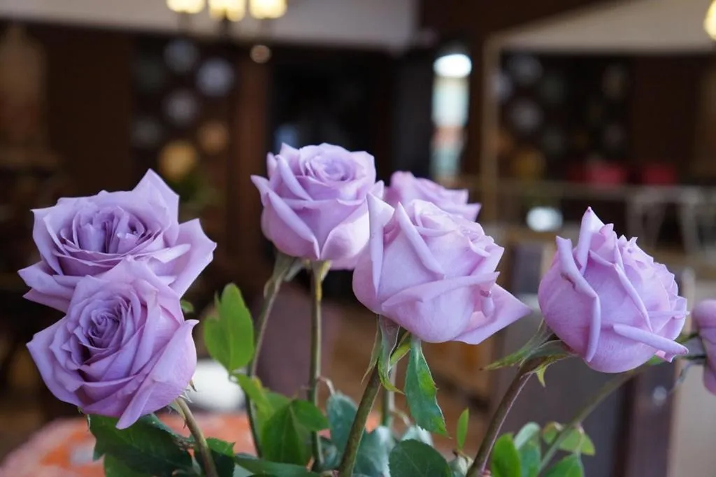 Lounge or bar in Pousada Don Ramon & Spa Holgar D'Alma - Charm Collection