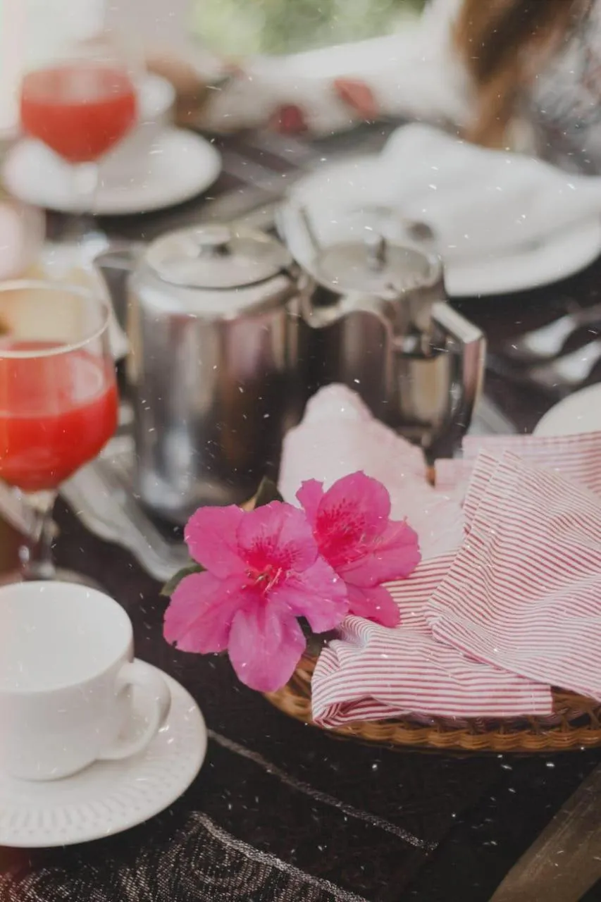 Buffet breakfast in Pousada Don Ramon & Spa Holgar D'Alma - Charm Collection