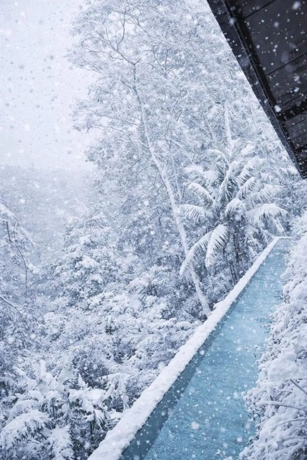 The Hidden Paradise Ubud - CHSE Certified