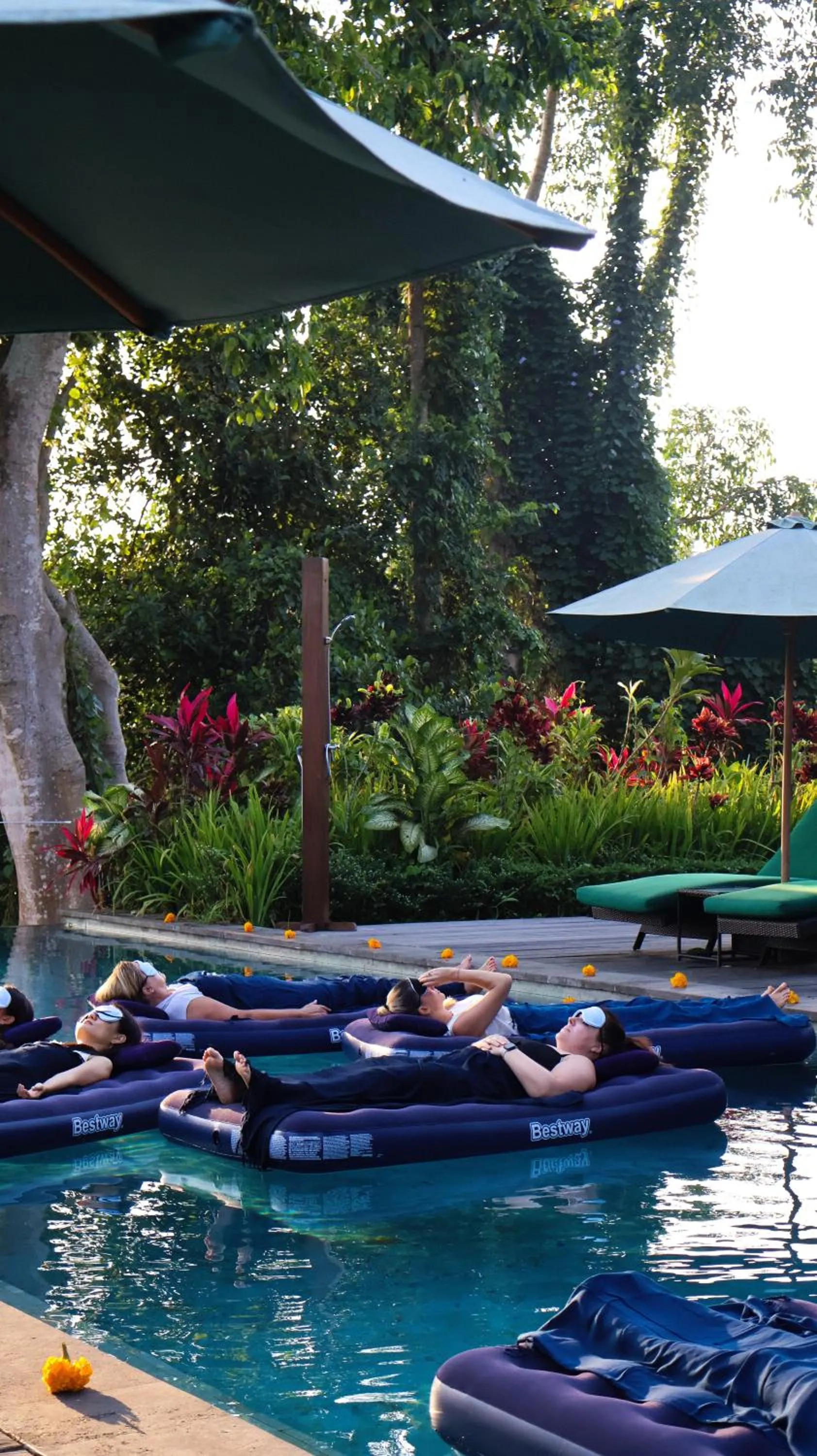 Natural landscape in The Hidden Paradise Ubud - CHSE Certified