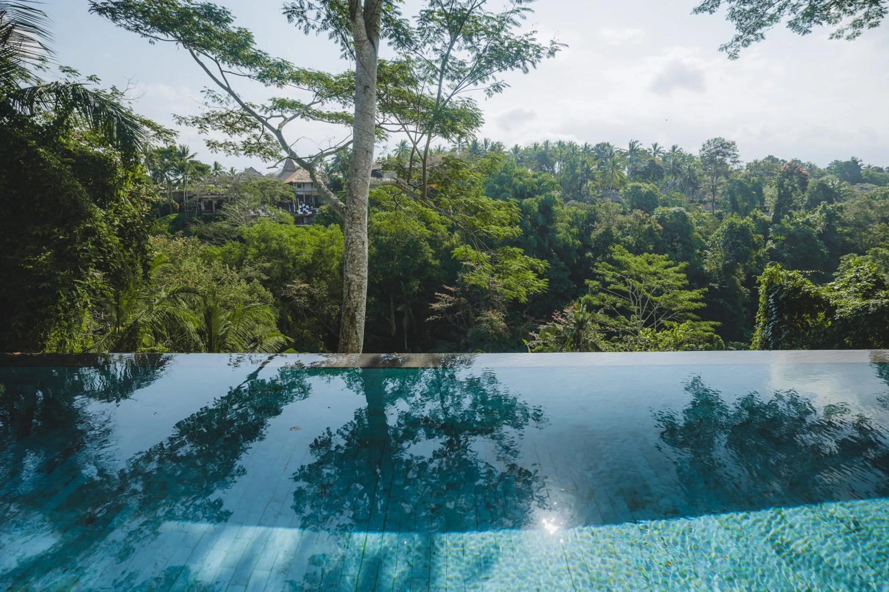 Day in The Hidden Paradise Ubud - CHSE Certified