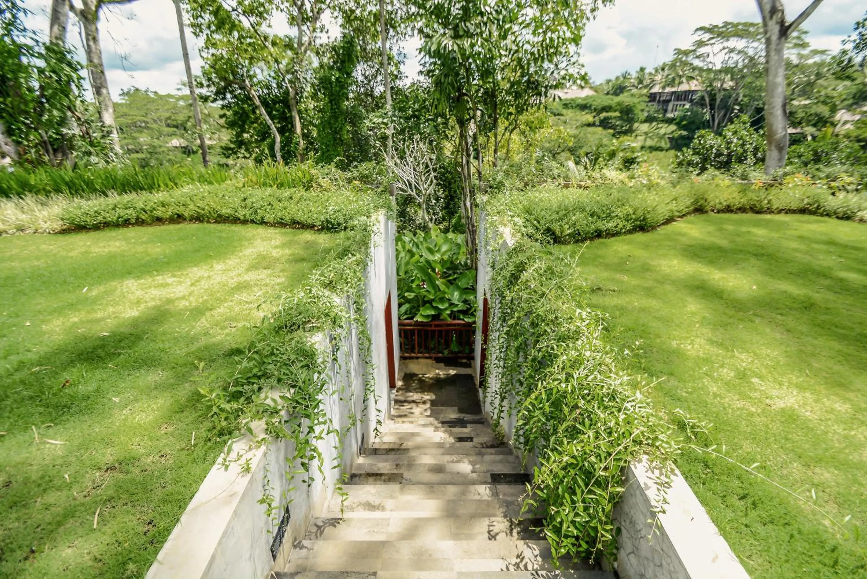Natural landscape in The Hidden Paradise Ubud - CHSE Certified
