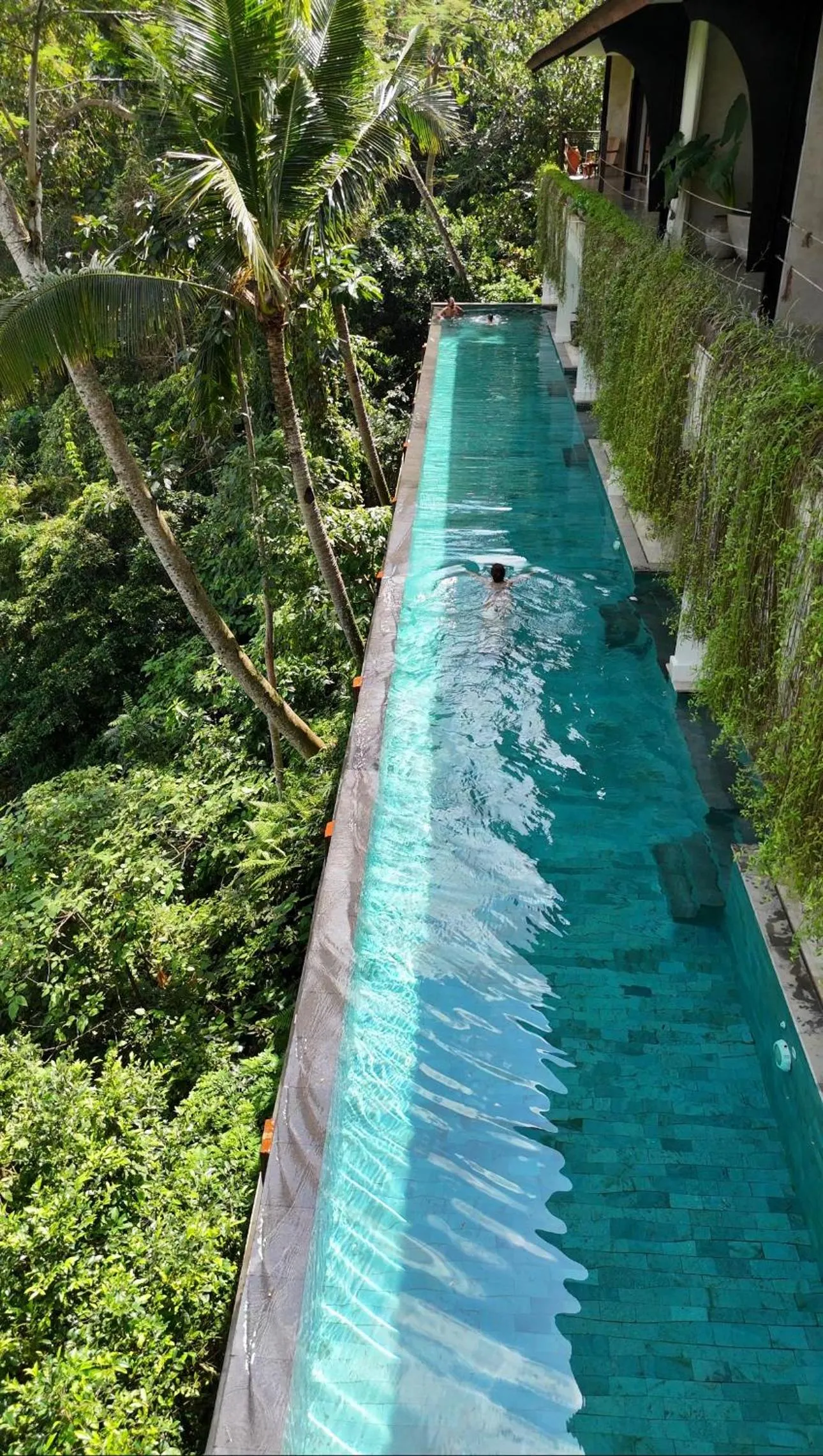 Day in The Hidden Paradise Ubud - CHSE Certified