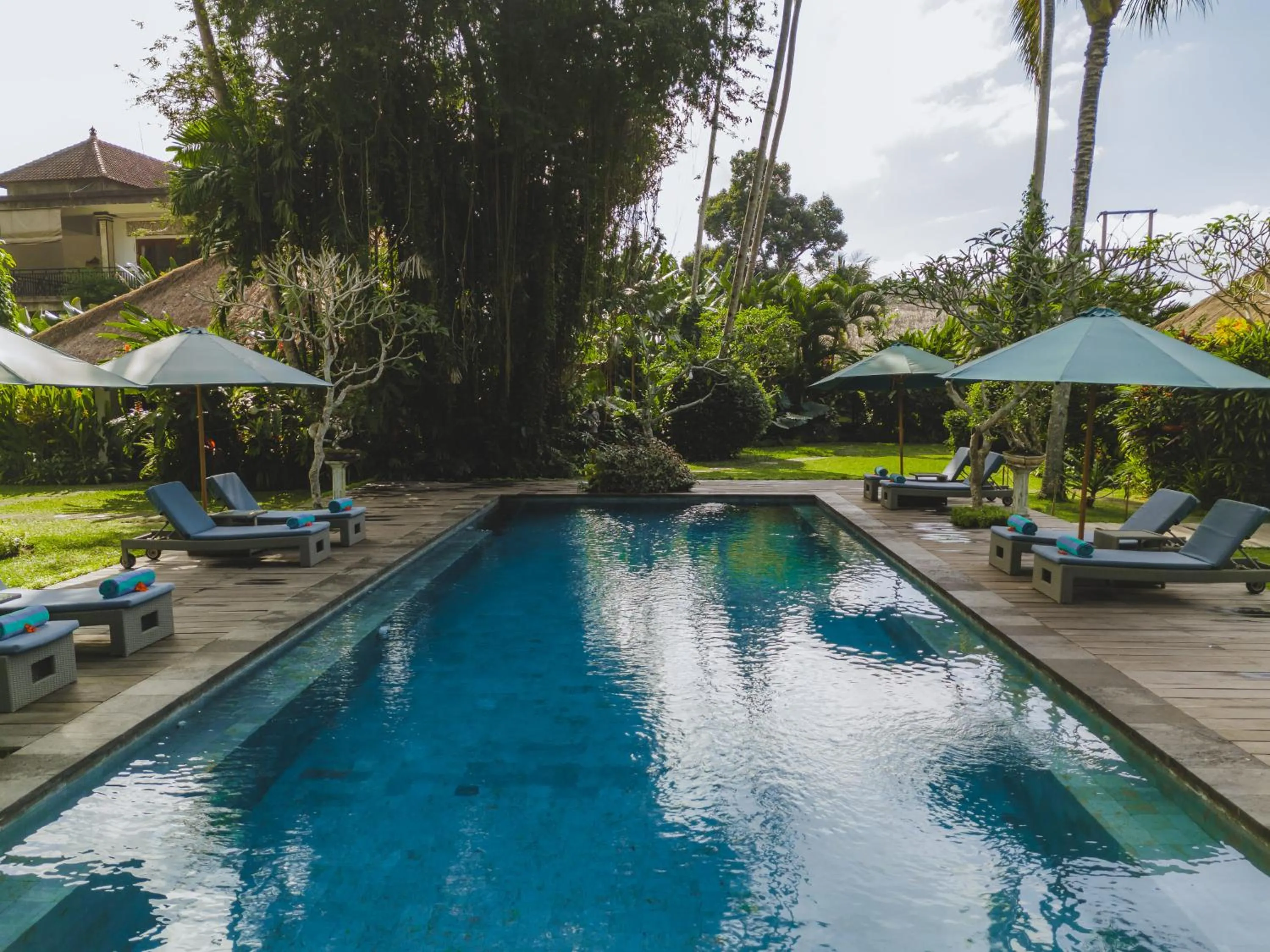 Day in The Hidden Paradise Ubud - CHSE Certified