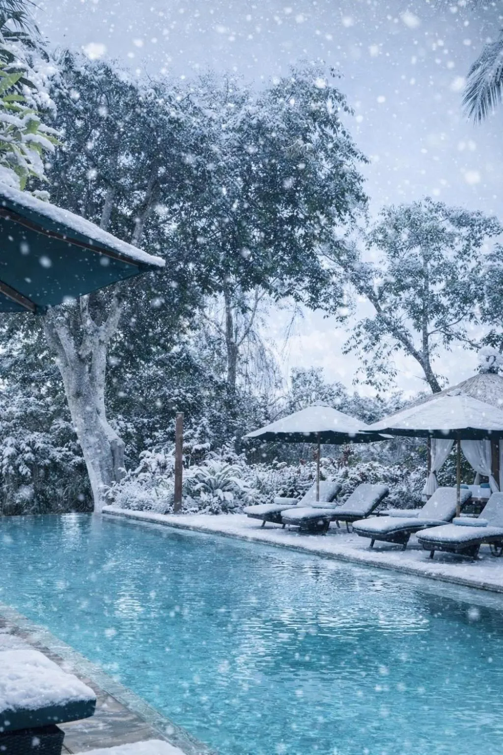 The Hidden Paradise Ubud - CHSE Certified