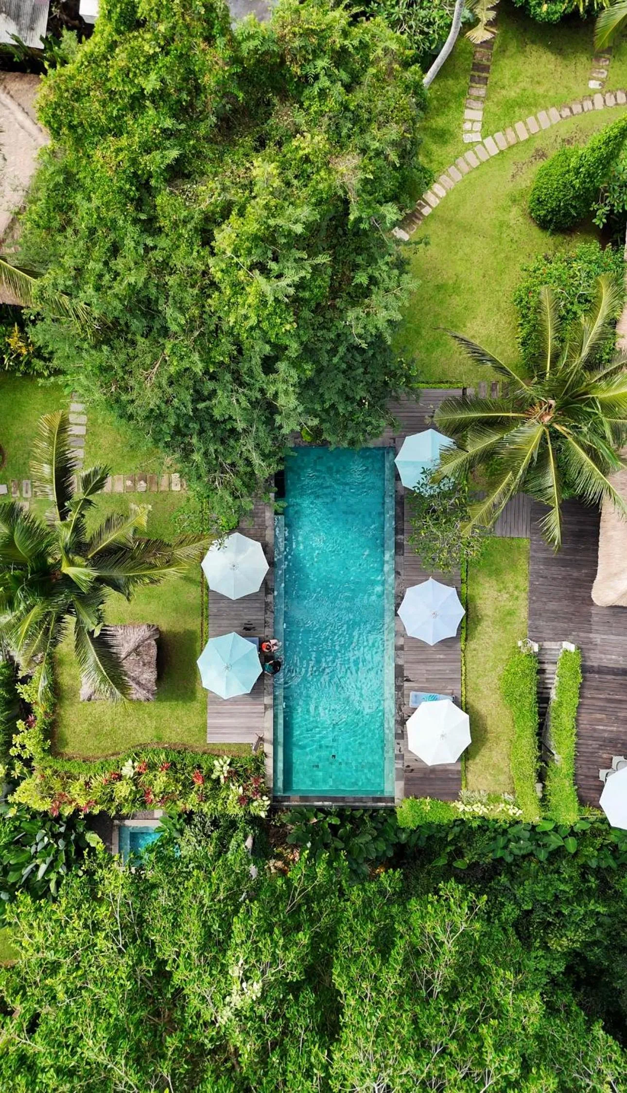 Spring in The Hidden Paradise Ubud - CHSE Certified