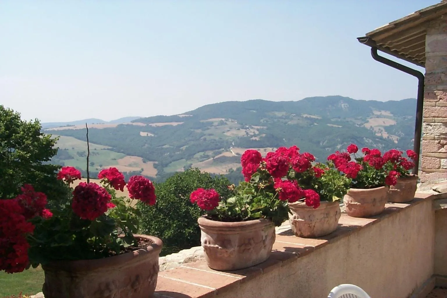Balcony/Terrace in L'Oasi