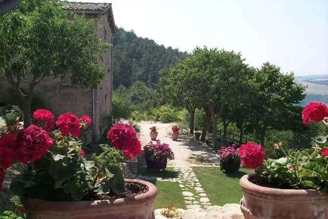 Garden in L'Oasi
