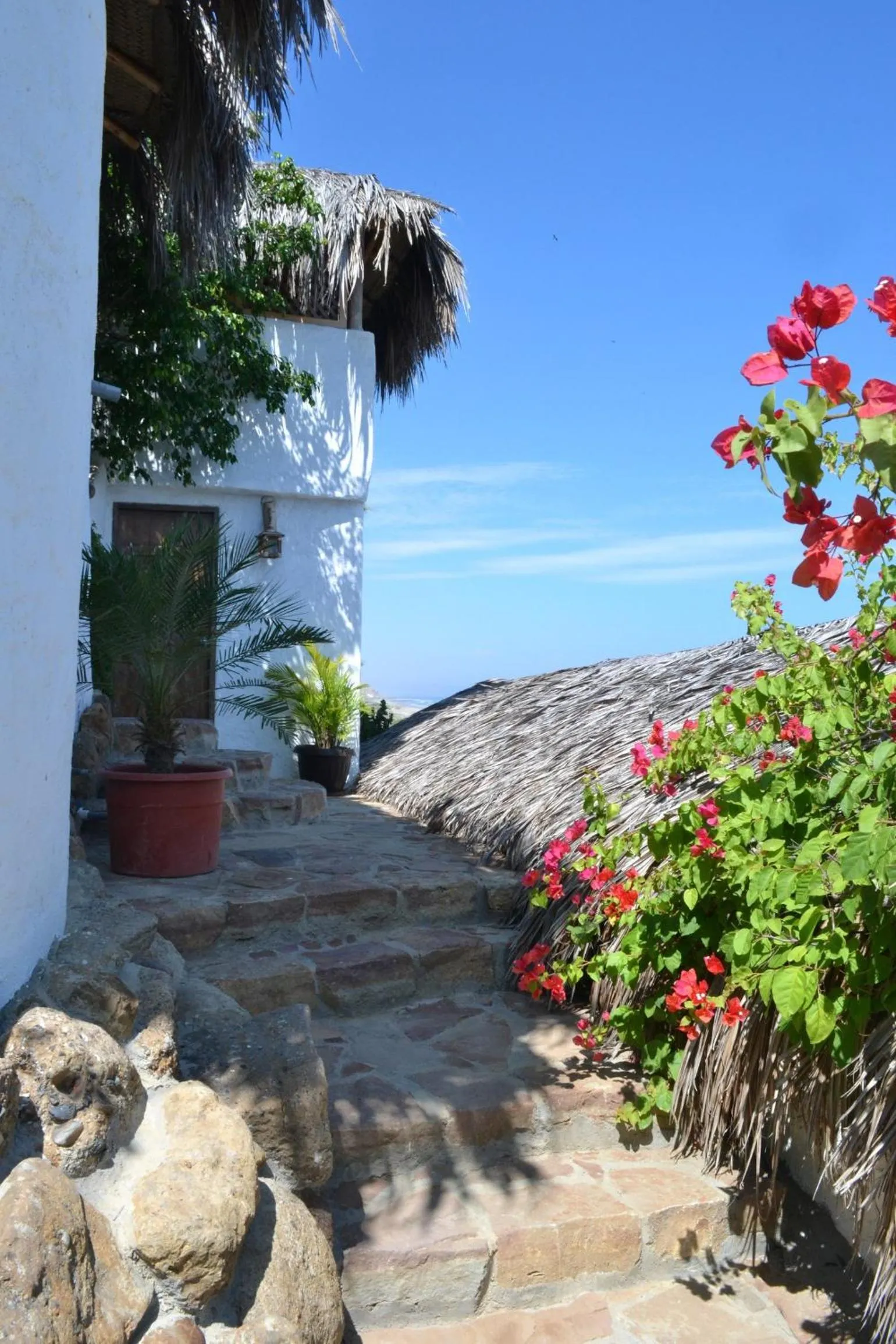 View (from property/room) in Hotel Smiling Crab