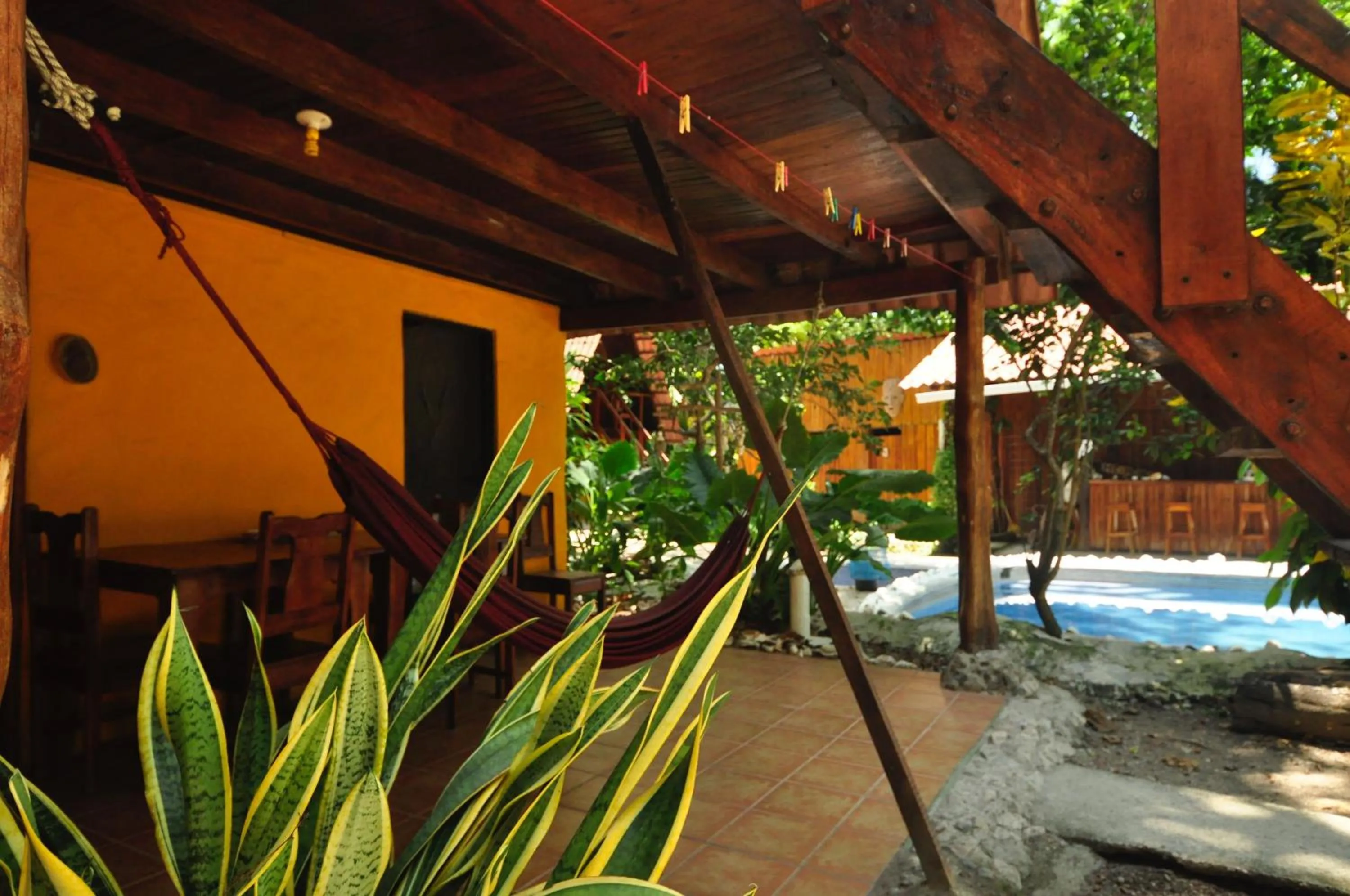 Patio in Howler Monkey Hotel