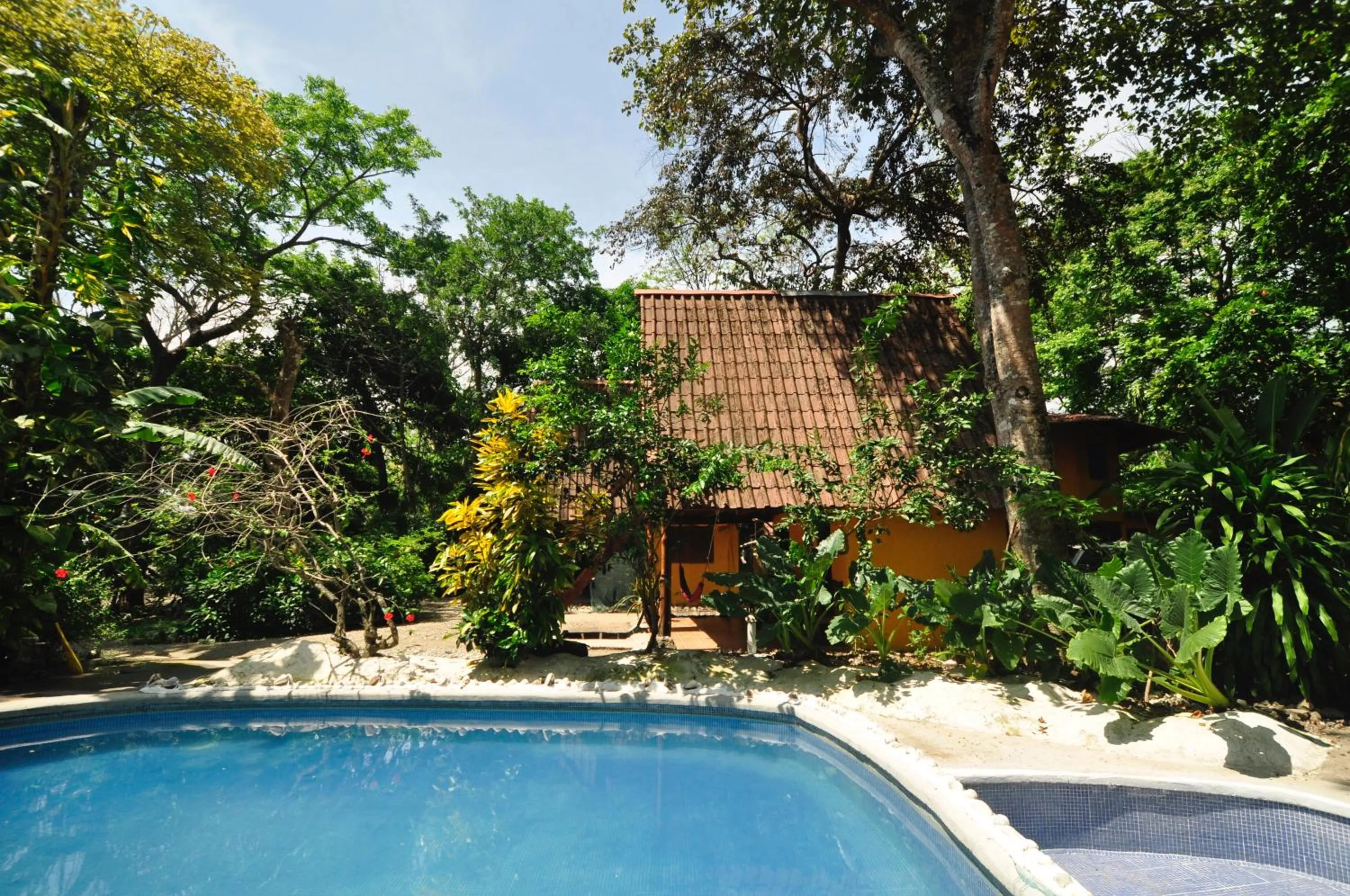 Swimming pool in Howler Monkey Hotel