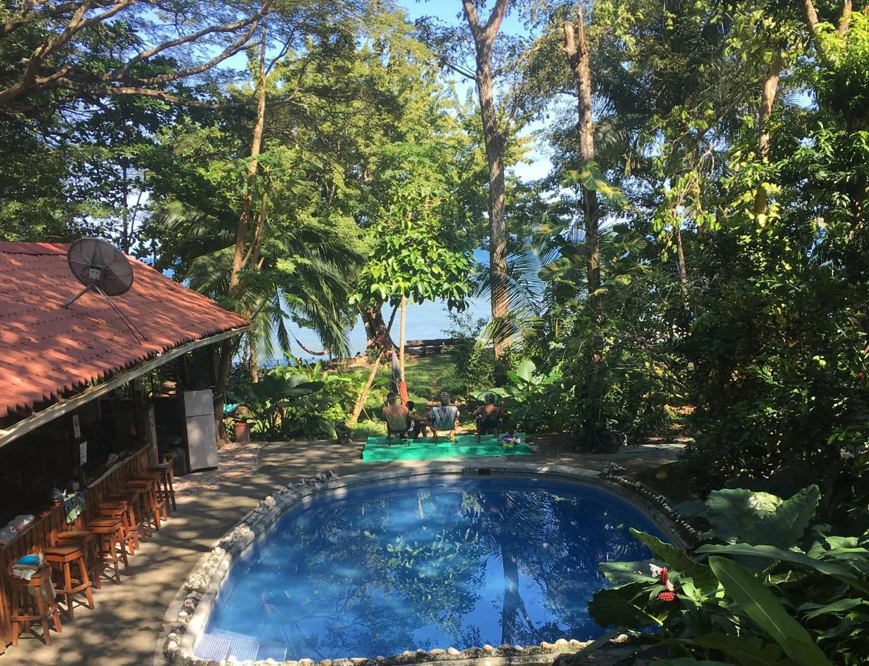 Garden in Howler Monkey Hotel