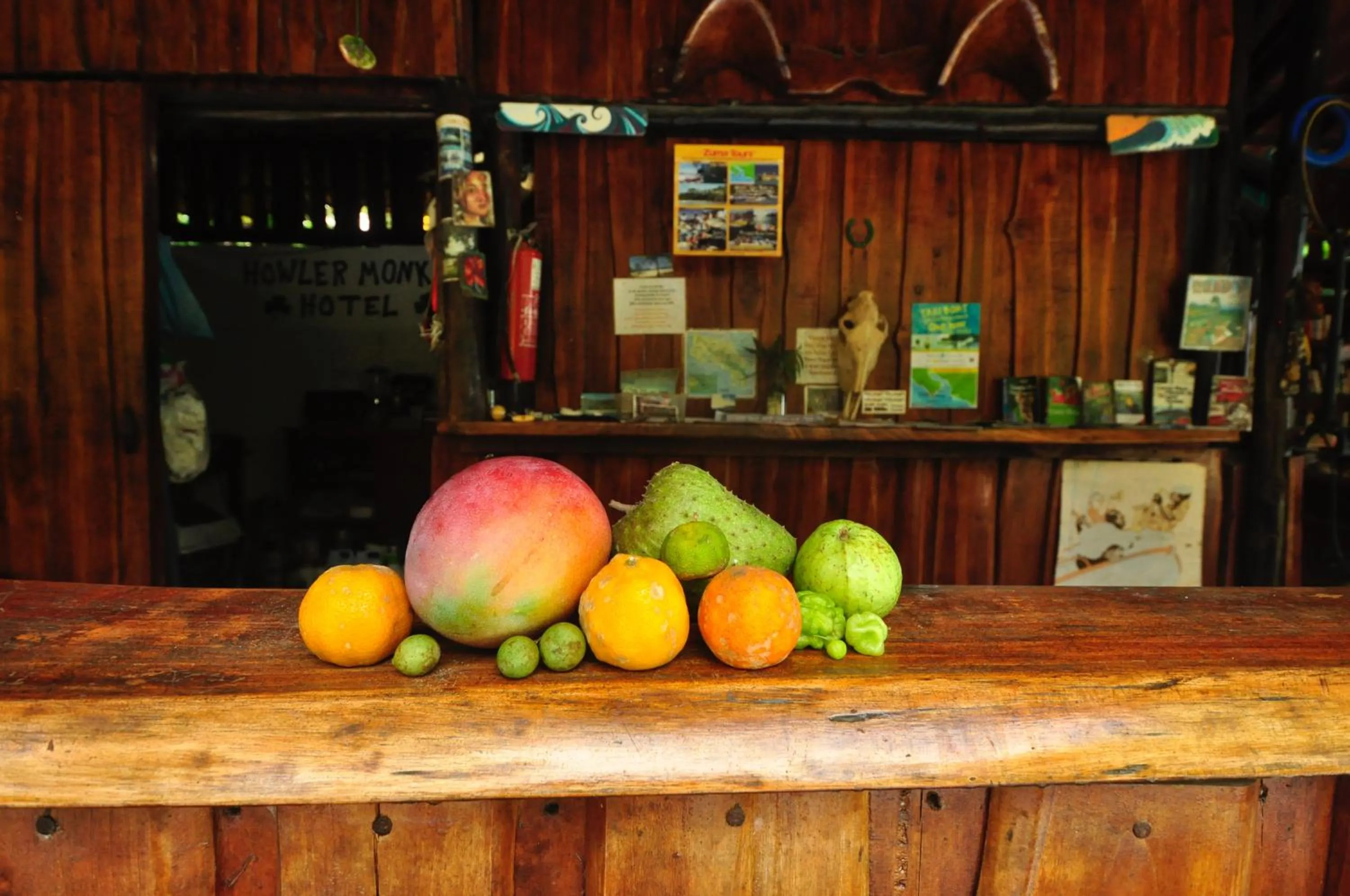 Lobby or reception in Howler Monkey Hotel