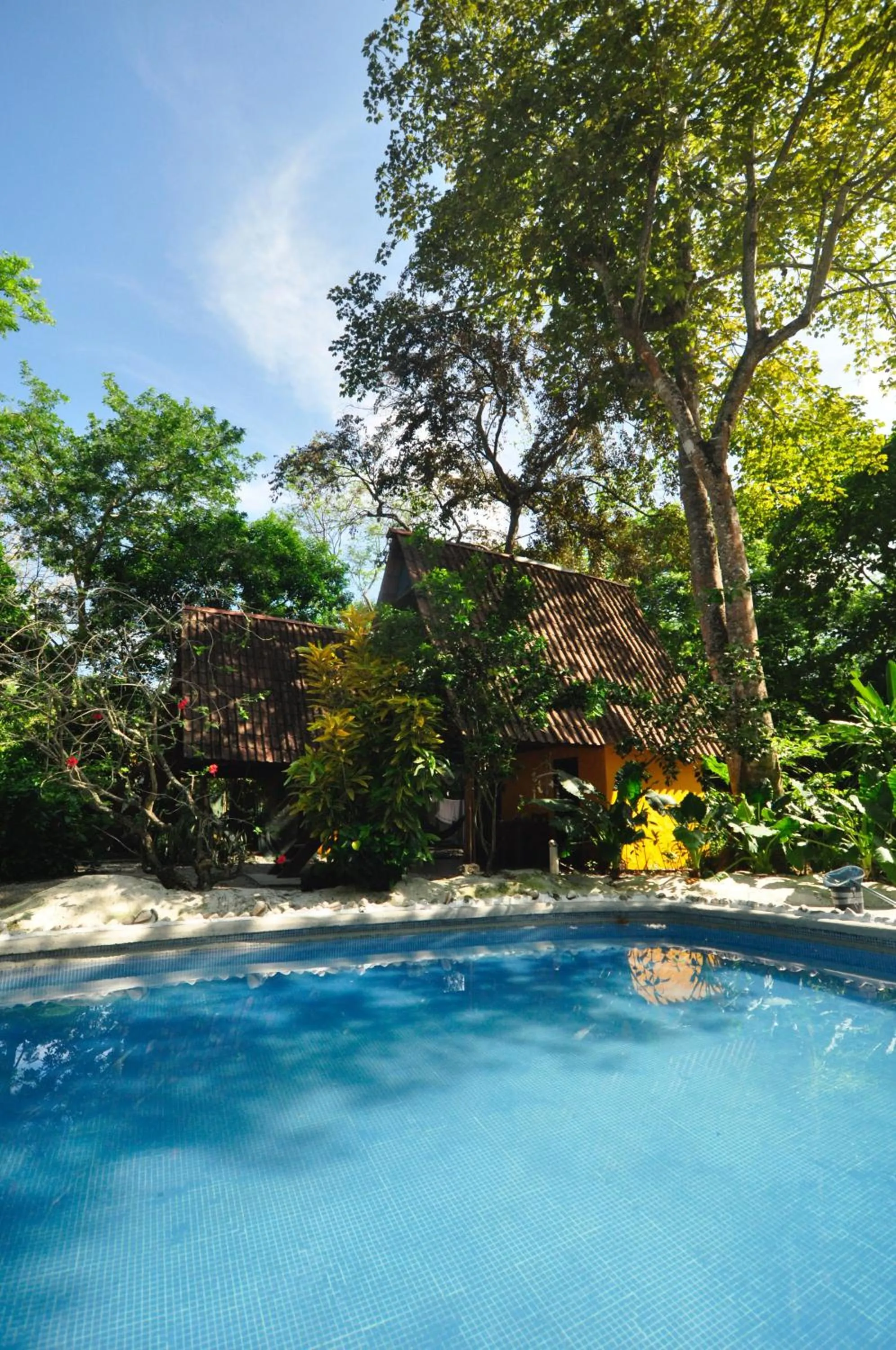 Garden in Howler Monkey Hotel