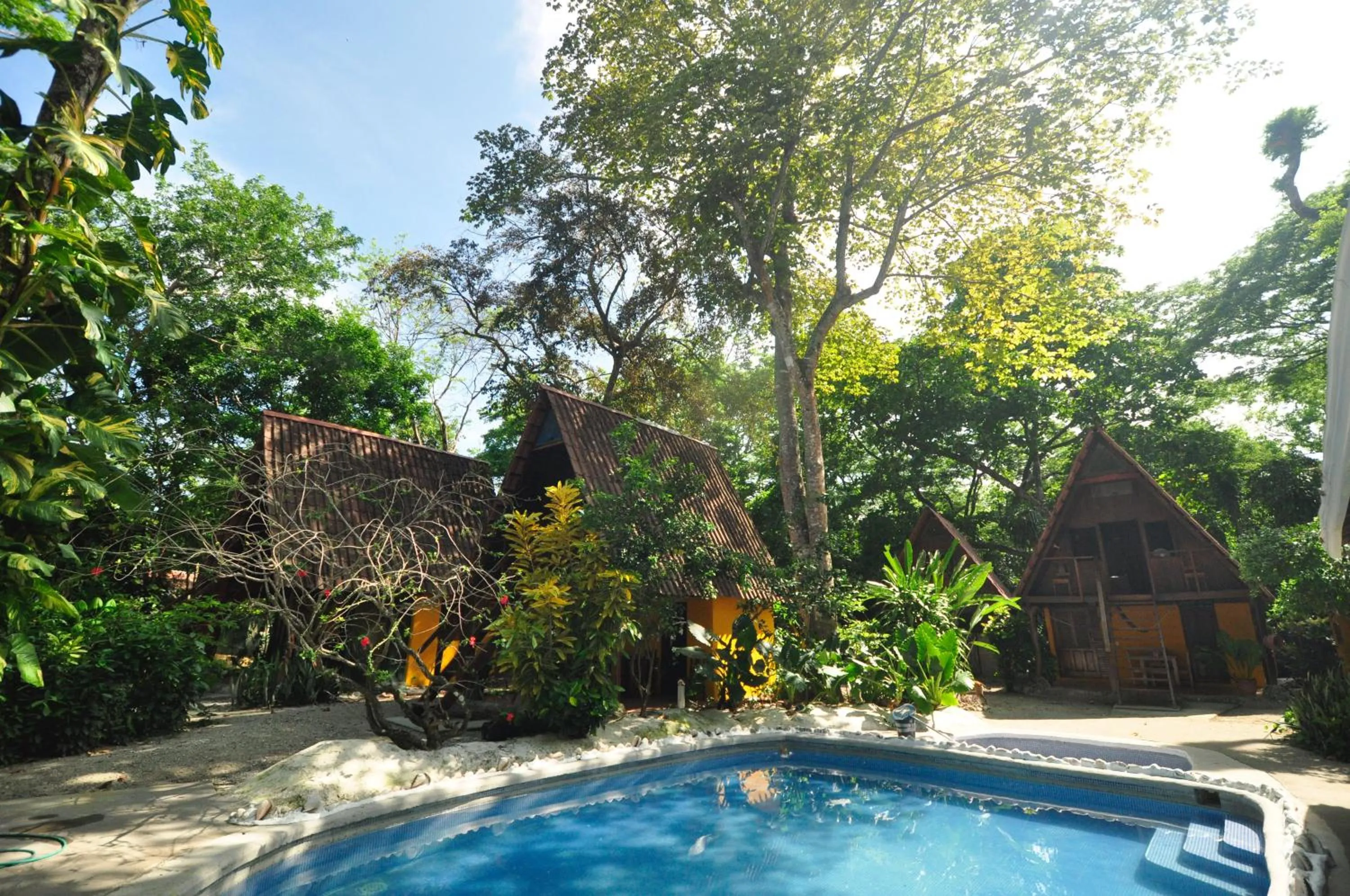 Patio in Howler Monkey Hotel