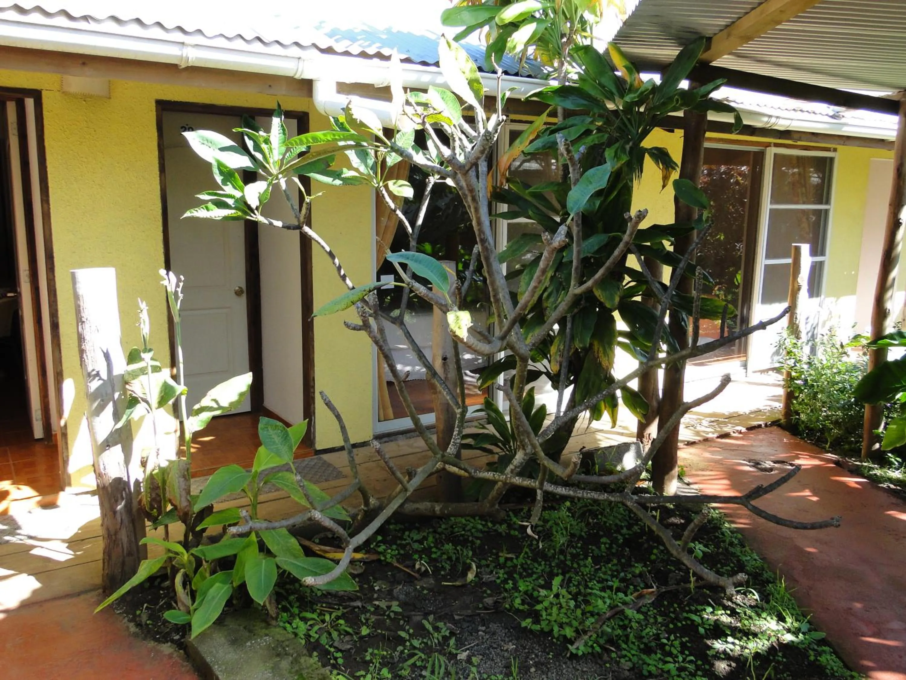 Garden in Tupa Hotel