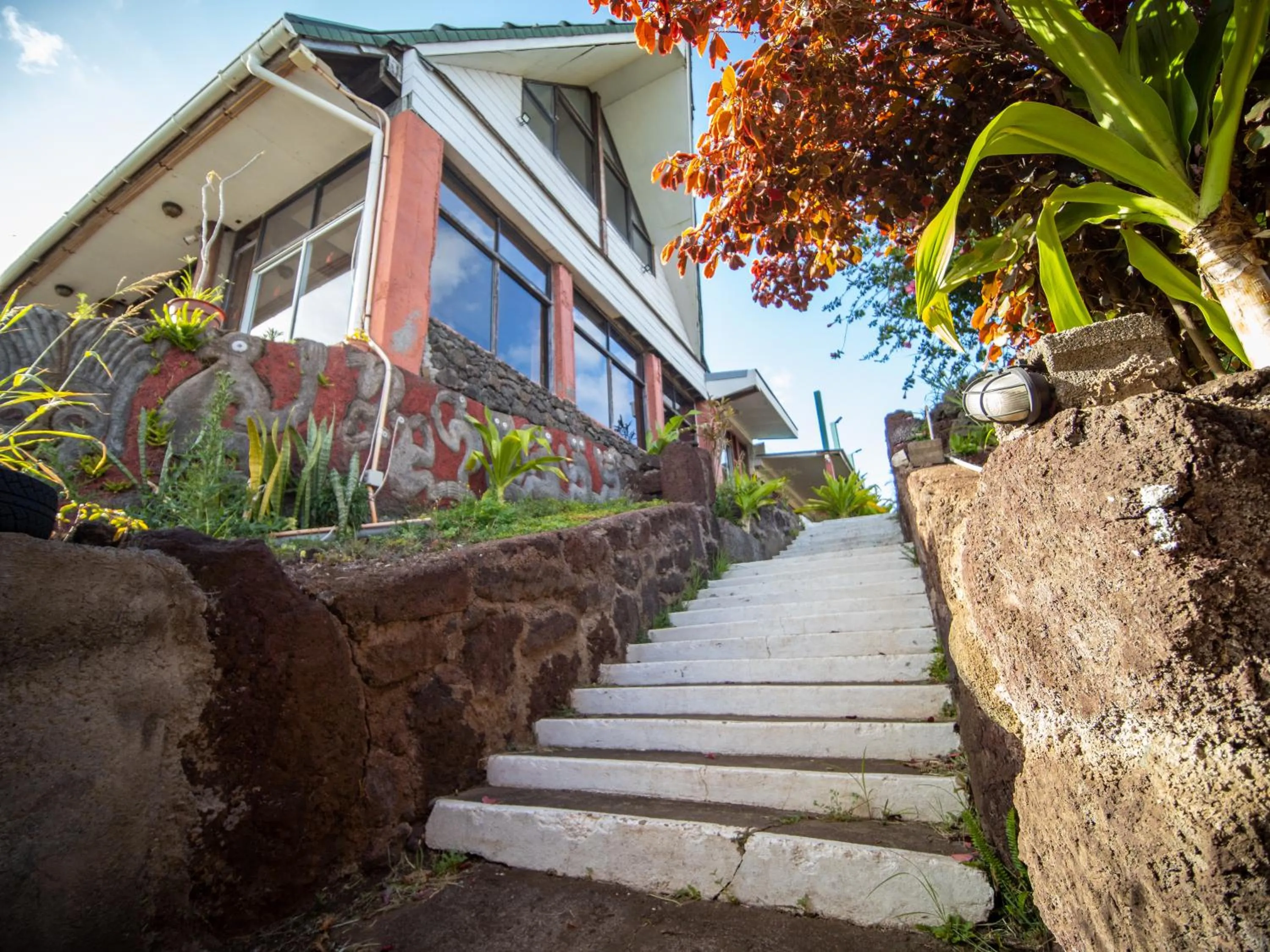 Garden in Tupa Hotel