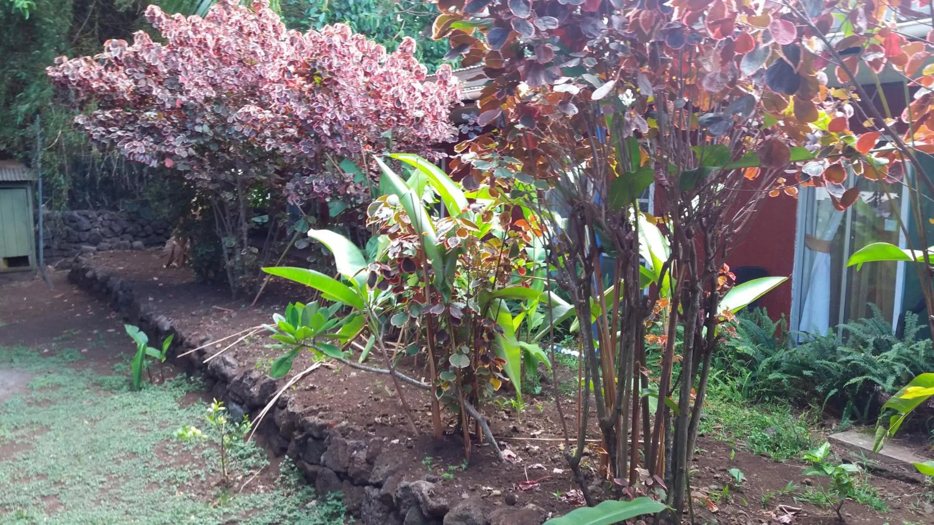 Decorative detail in Tupa Hotel