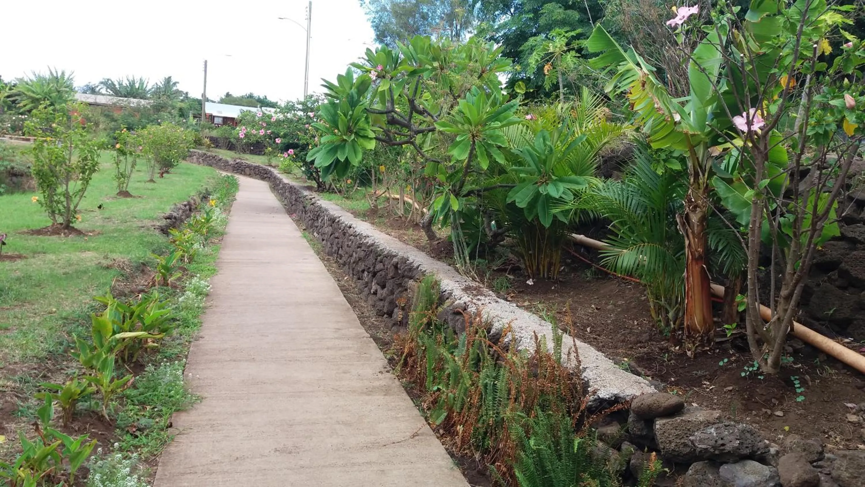 Garden in Tupa Hotel