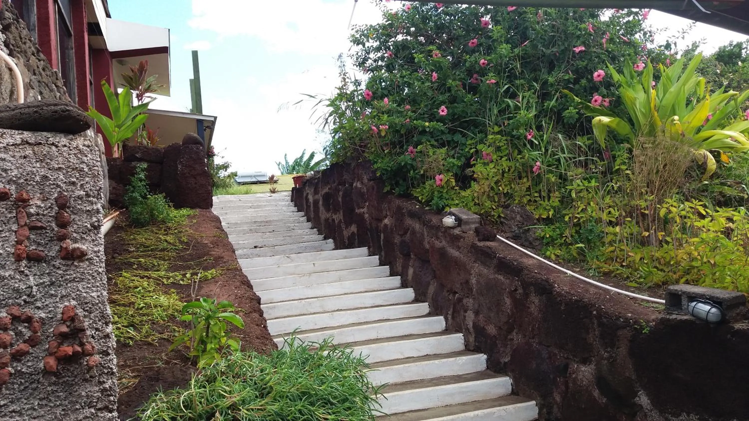 Garden in Tupa Hotel