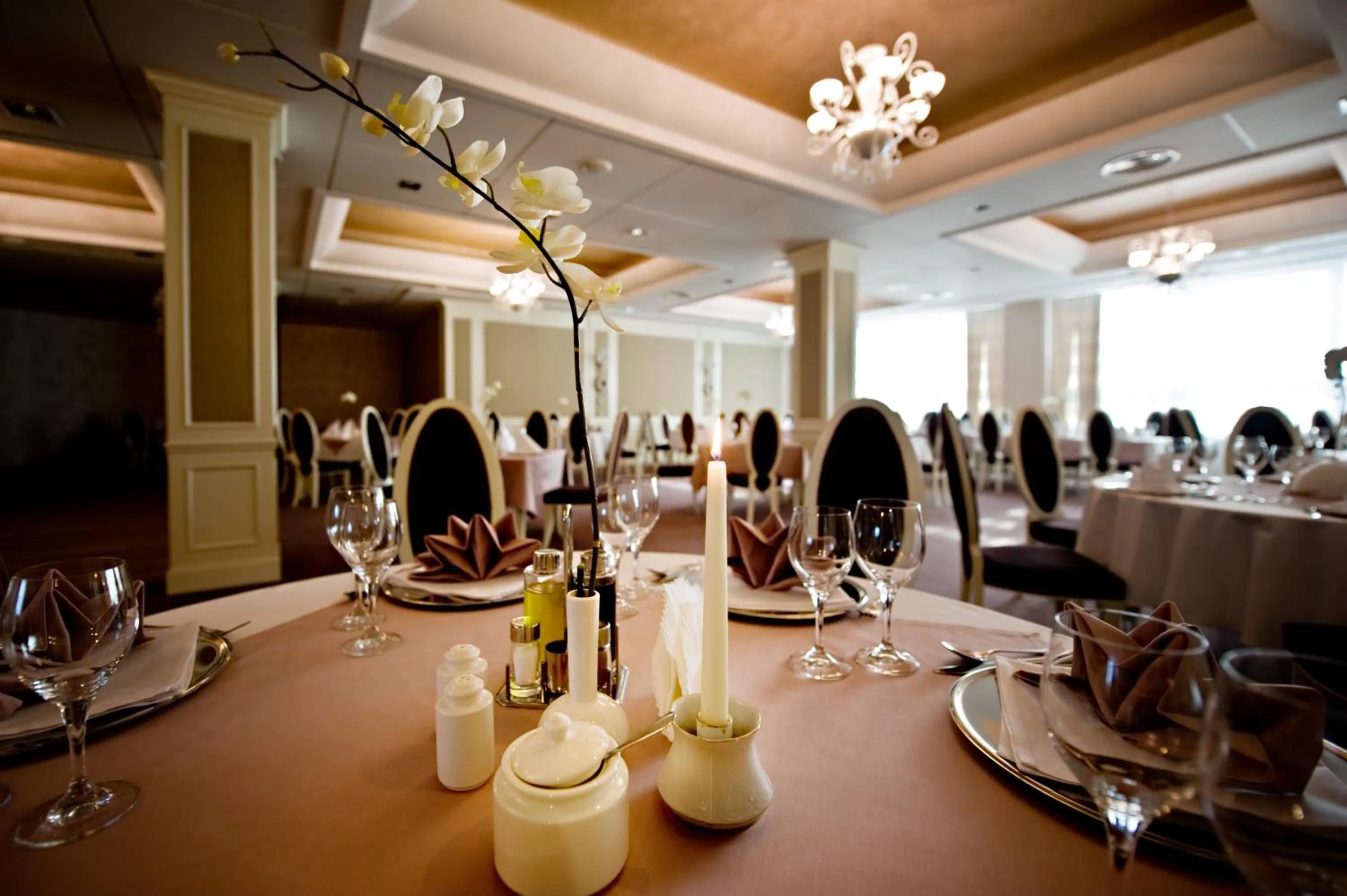 Restaurant/places to eat in Hotel Prezydencki 4-star