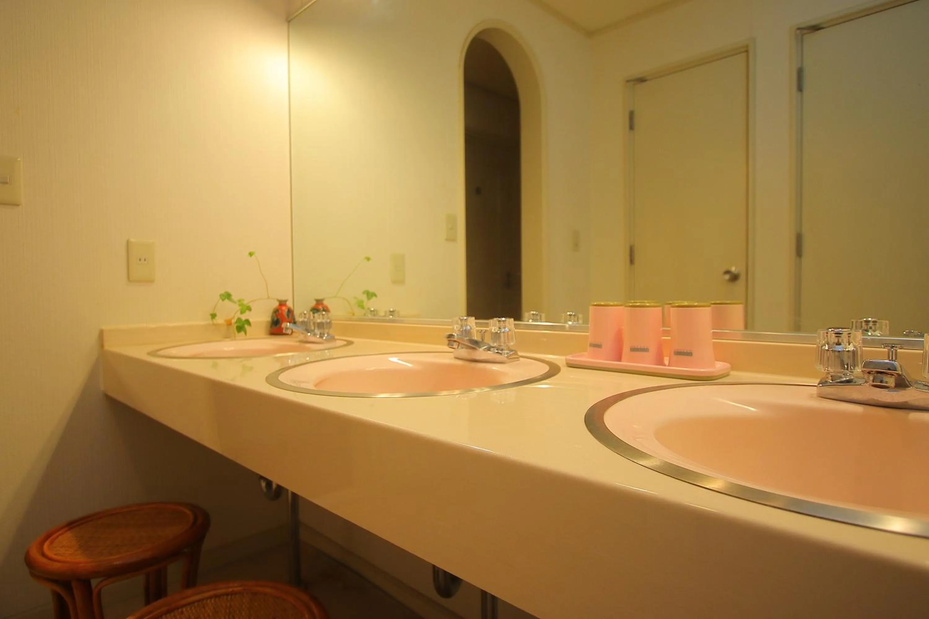 Mt Fuji B&B PENSION LE LAGON