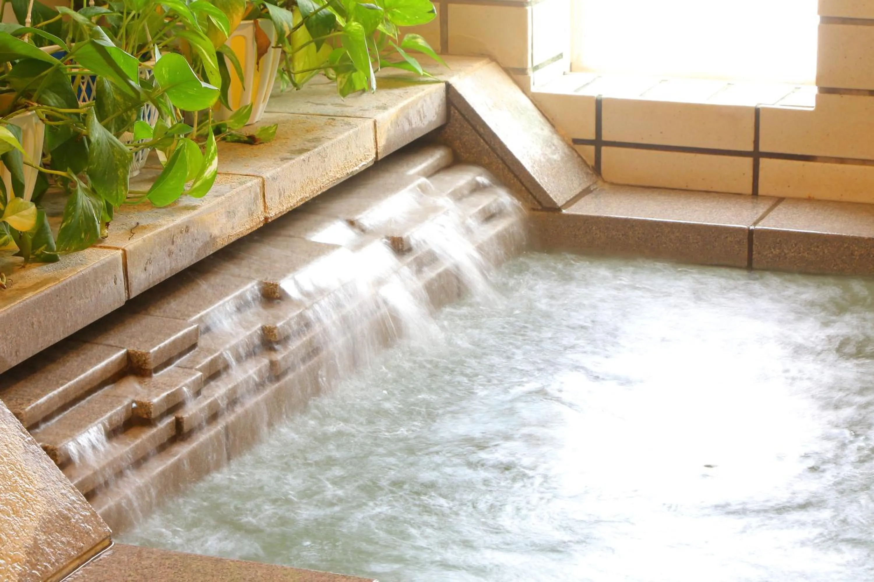 Mt Fuji B&B PENSION LE LAGON