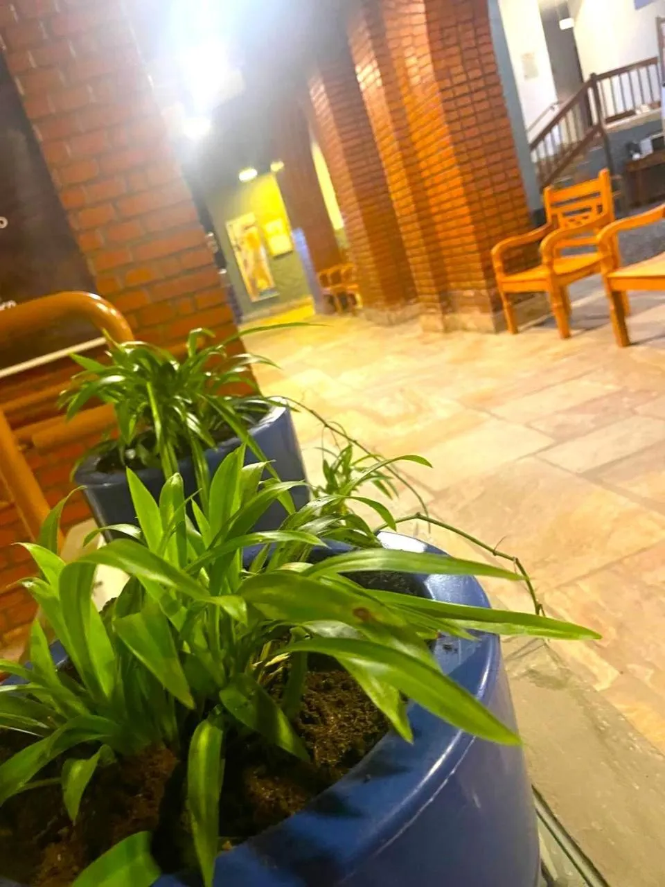 Decorative detail in Hotel Verdes Mares