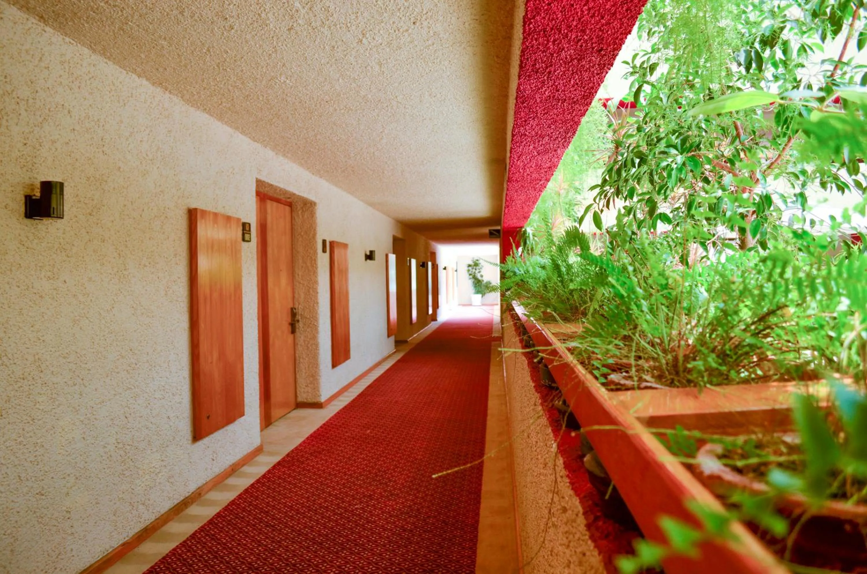 Garden view in Cantalagua Inn