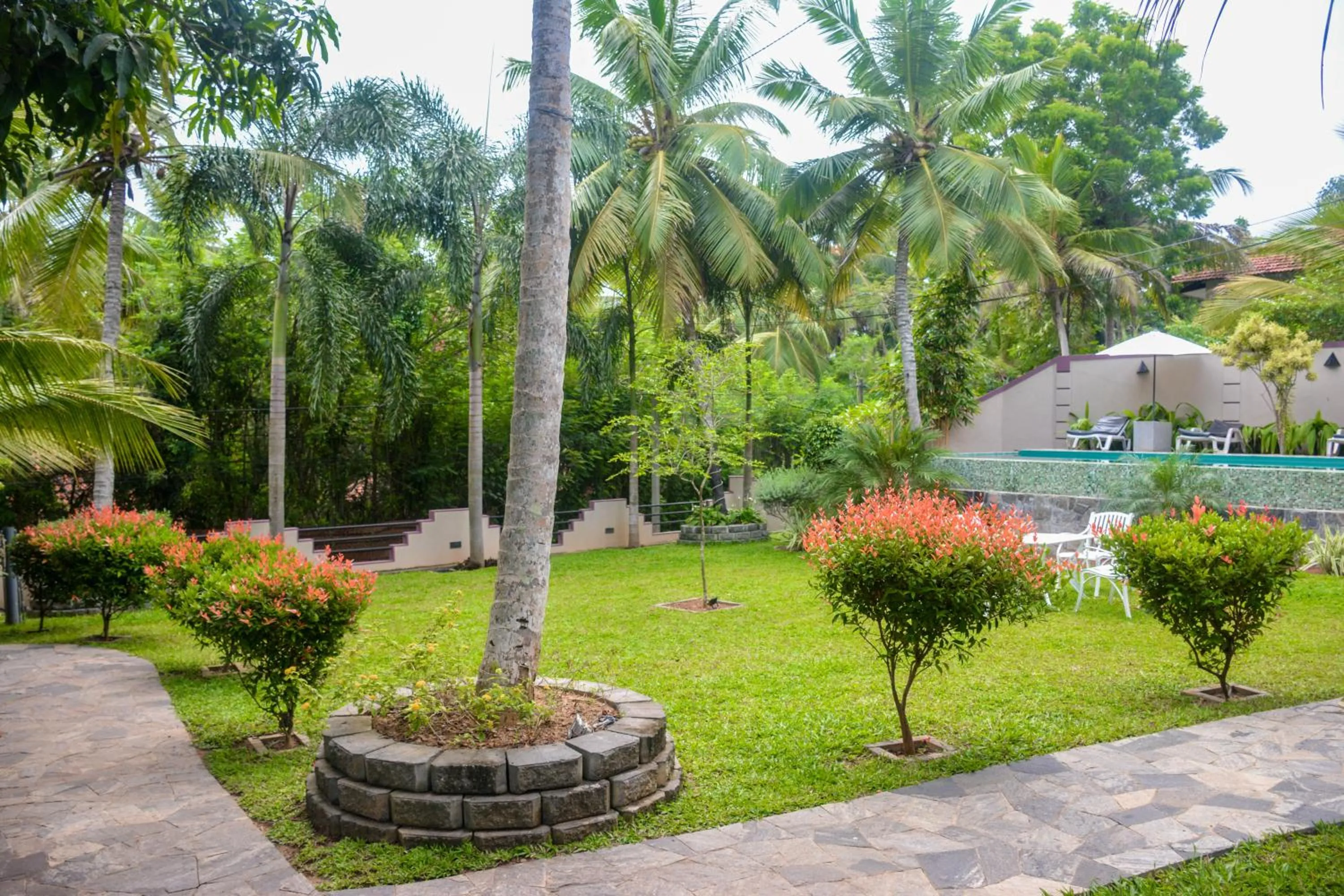 Garden in Goyambokka Guesthouse