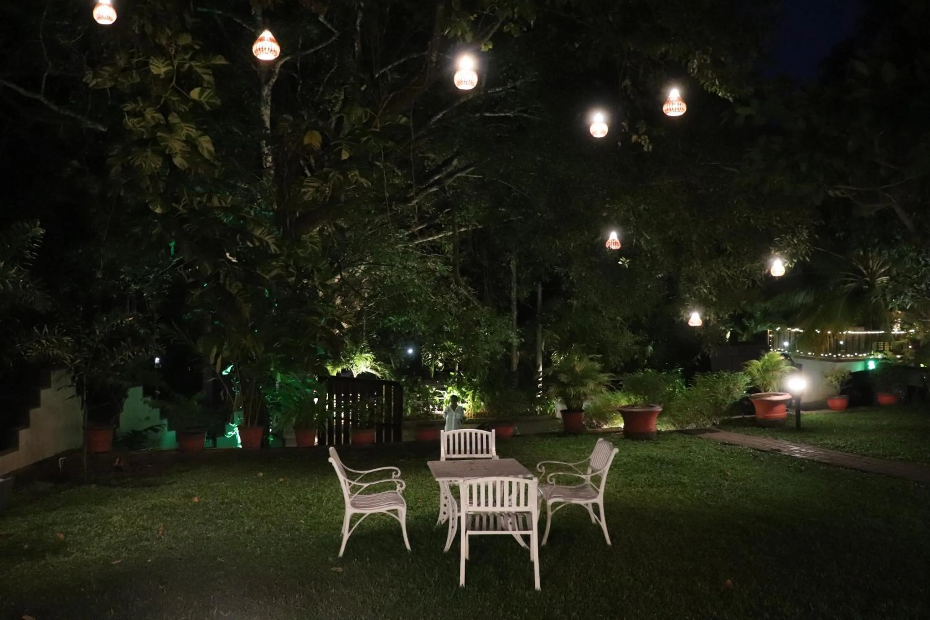 Garden in Goyambokka Guesthouse