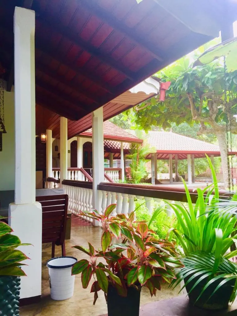 Patio in Goyambokka Guesthouse