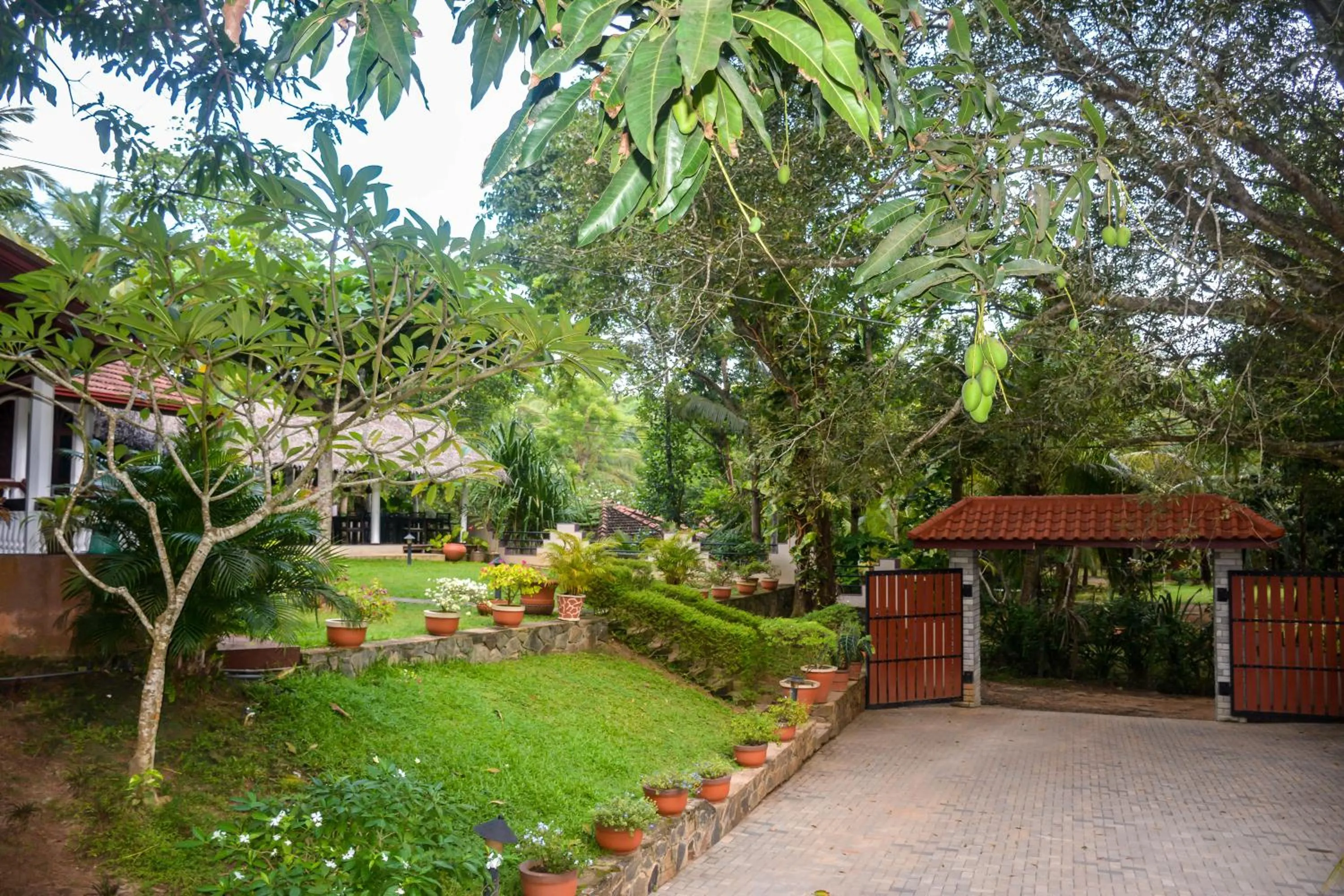 Garden in Goyambokka Guesthouse