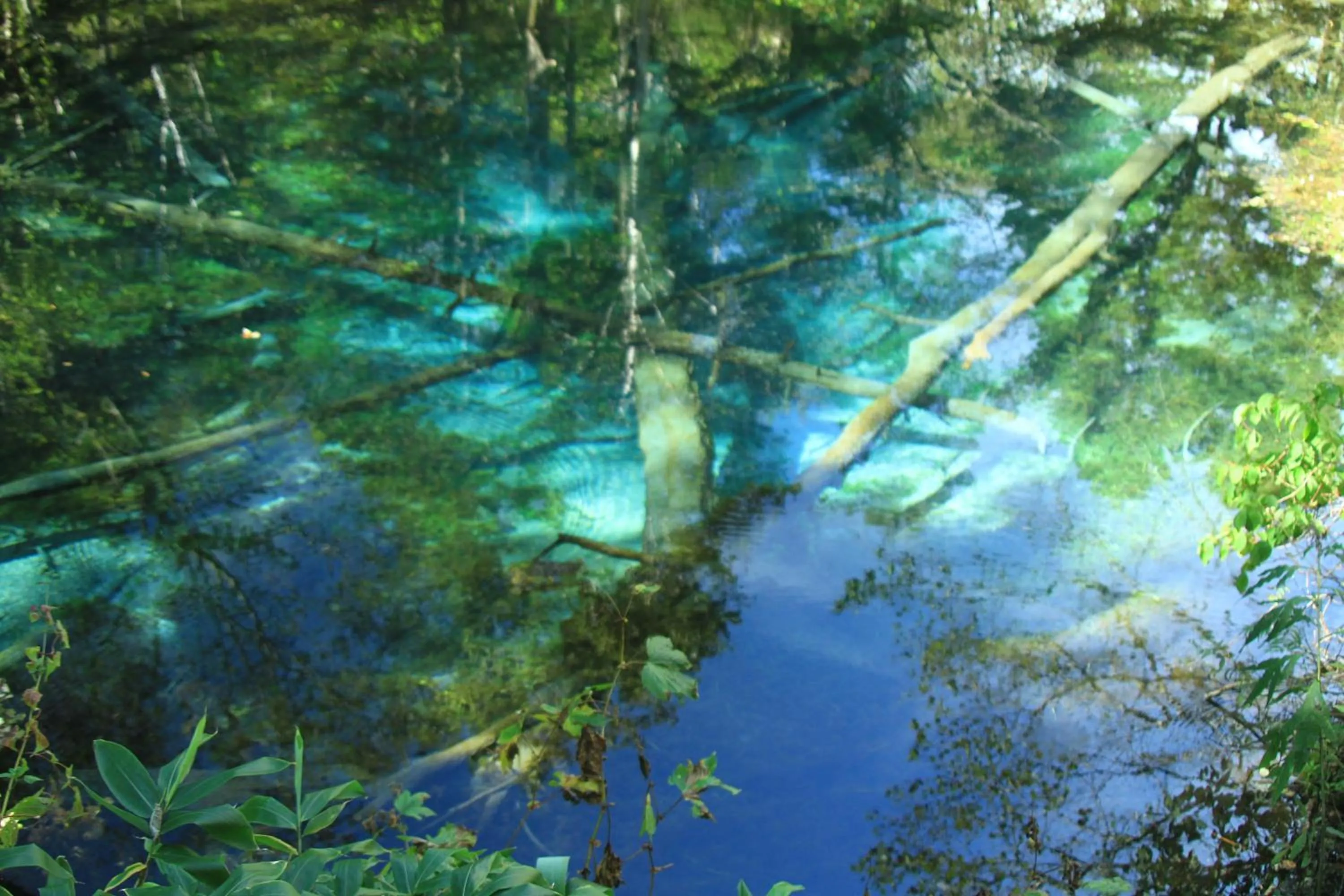 Nearby landmark in Traveler's Inn Asanebo