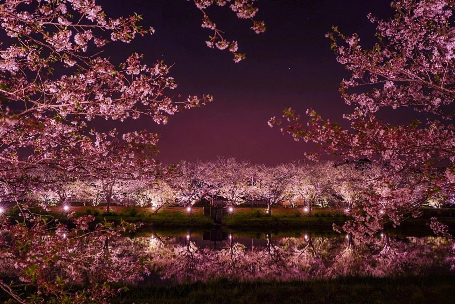Nearby landmark in Masugataya Ryokan